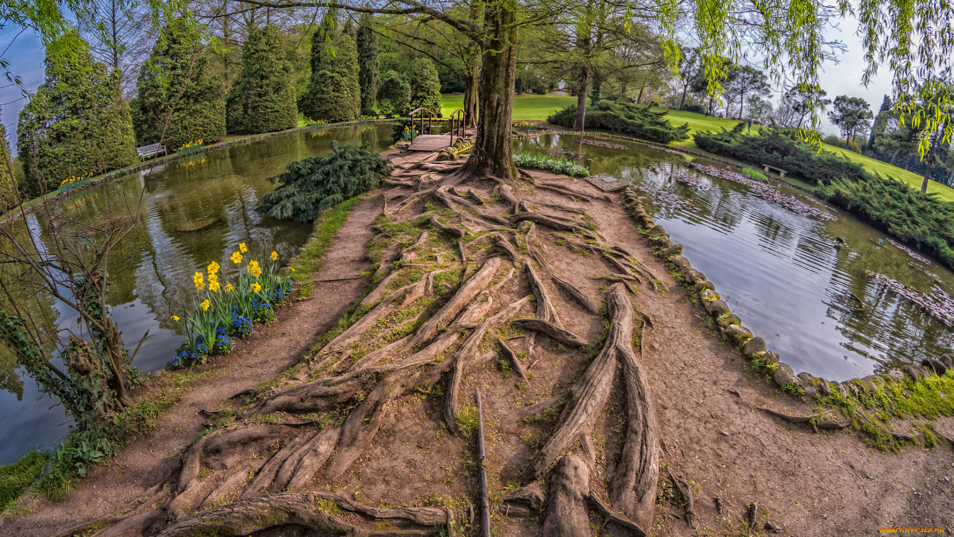 природа, реки, озера, простор