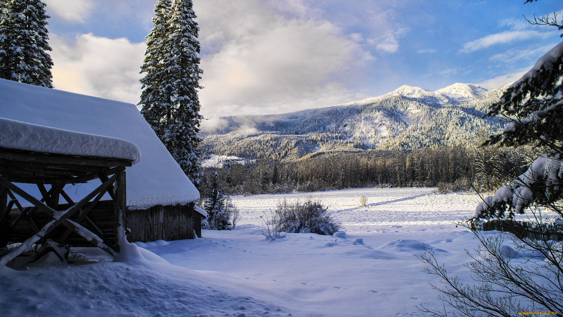 природа, зима, простор