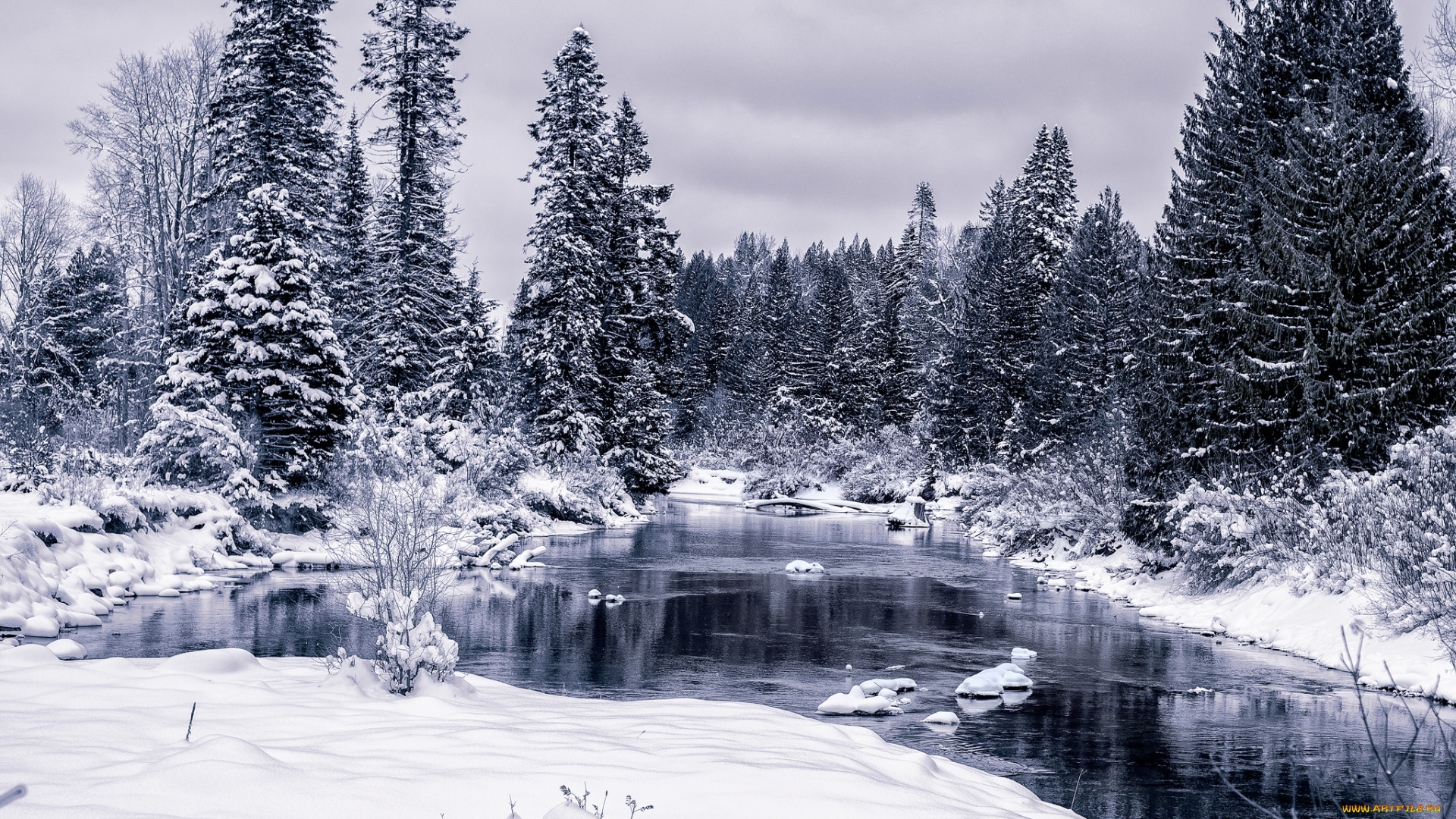 природа, зима, простор