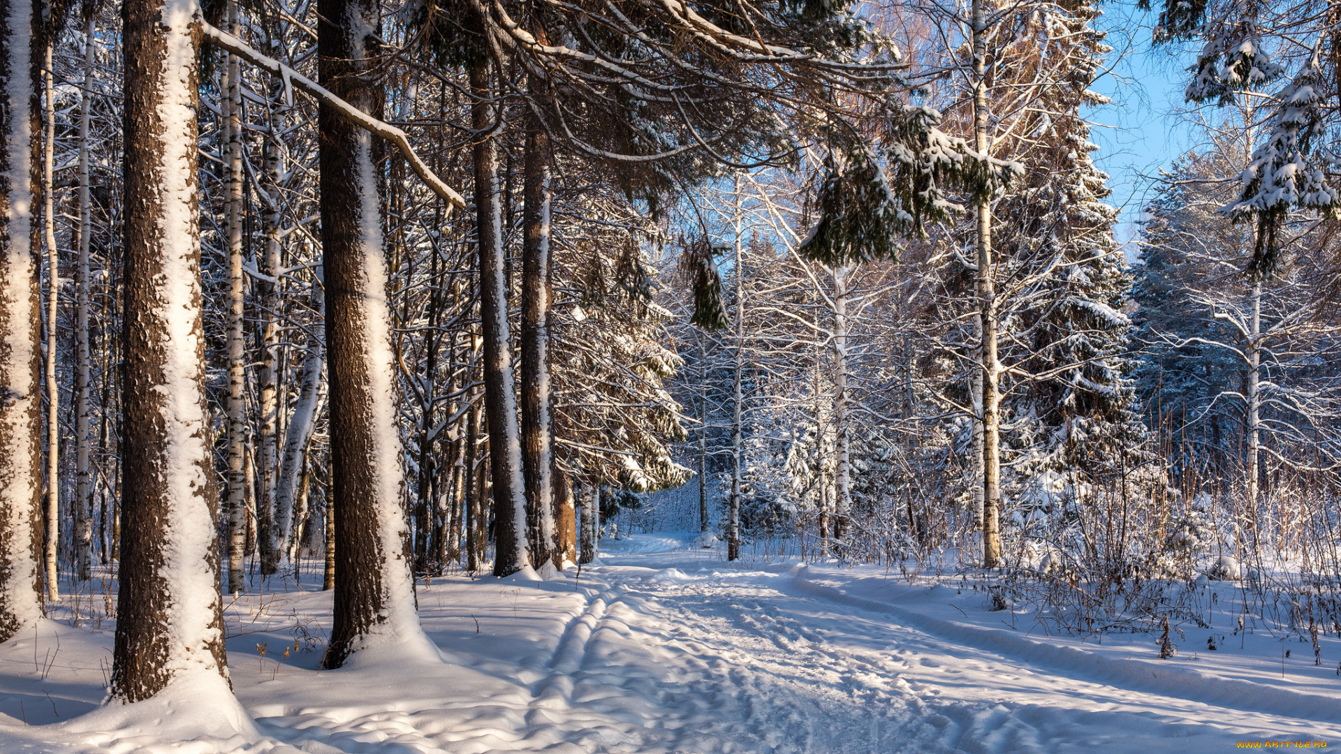 природа, зима, простор