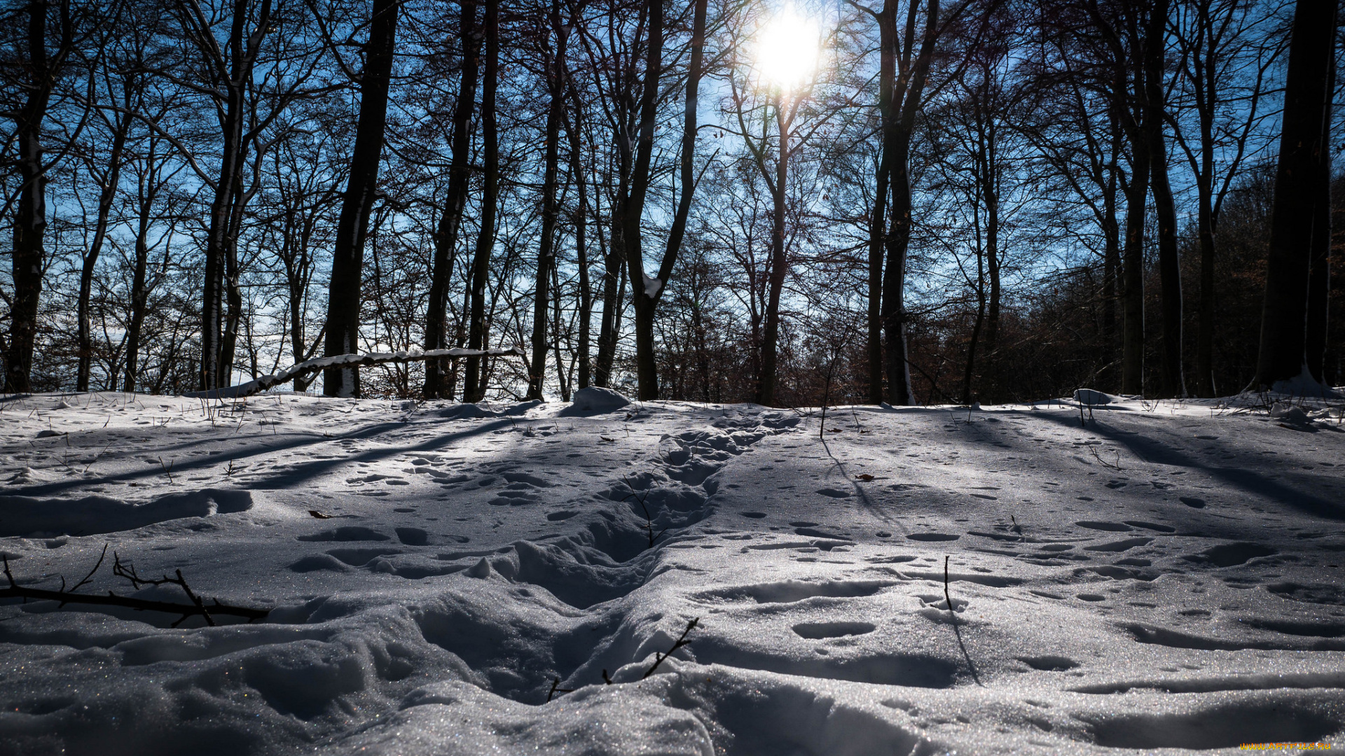 природа, зима, простор