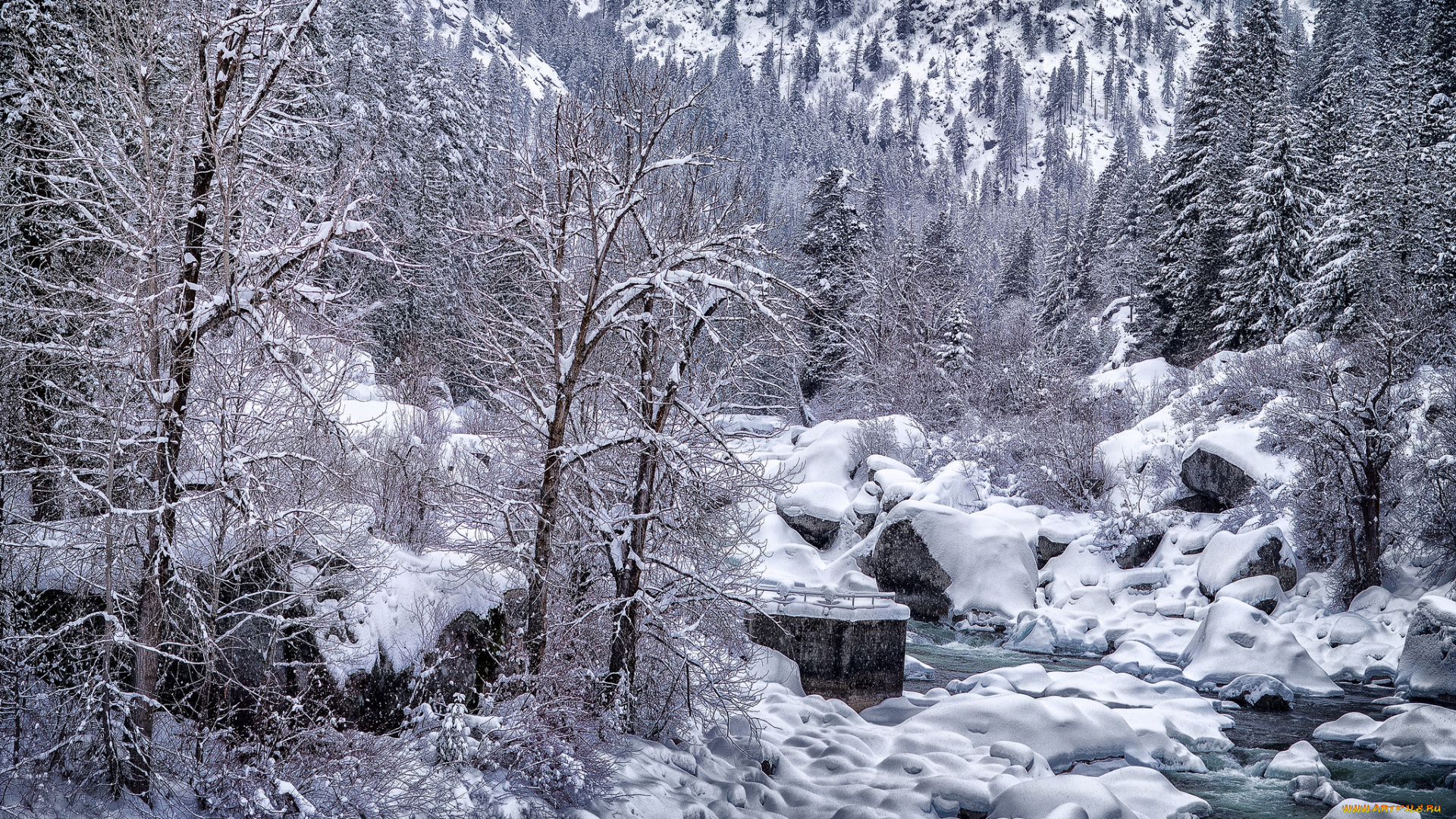 природа, зима, простор