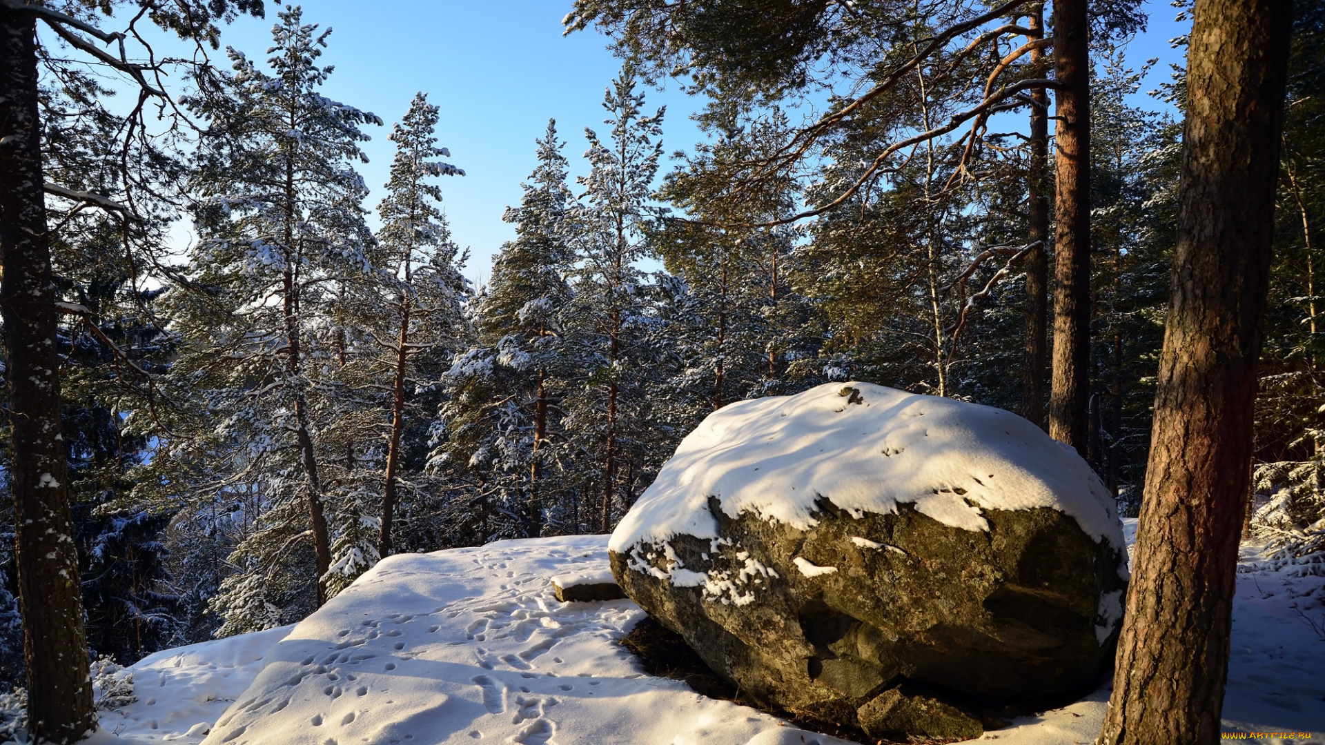 природа, зима, простор