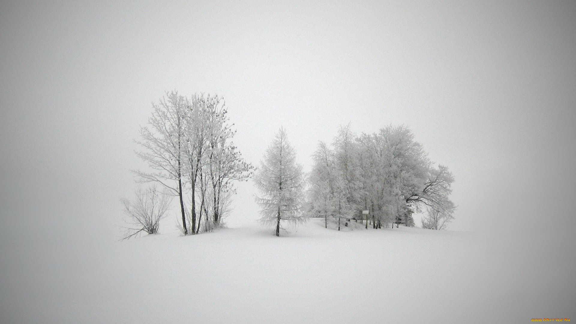 природа, зима, снег, деревья