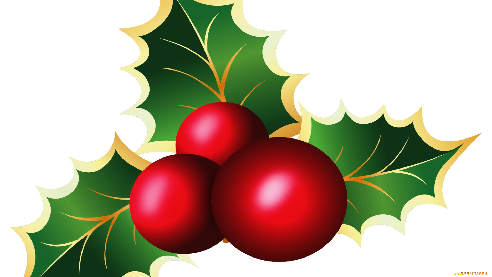 векторная, графика, цветы, , flowers, листья, фон