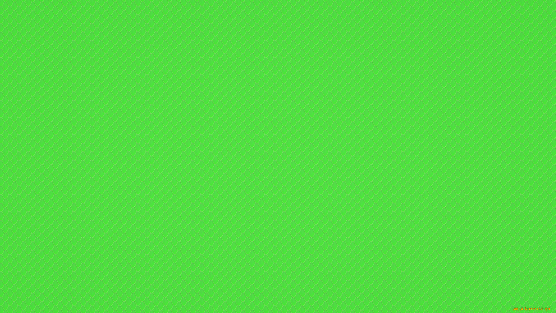 векторная, графика, графика, , graphics, цвета, фон, узор