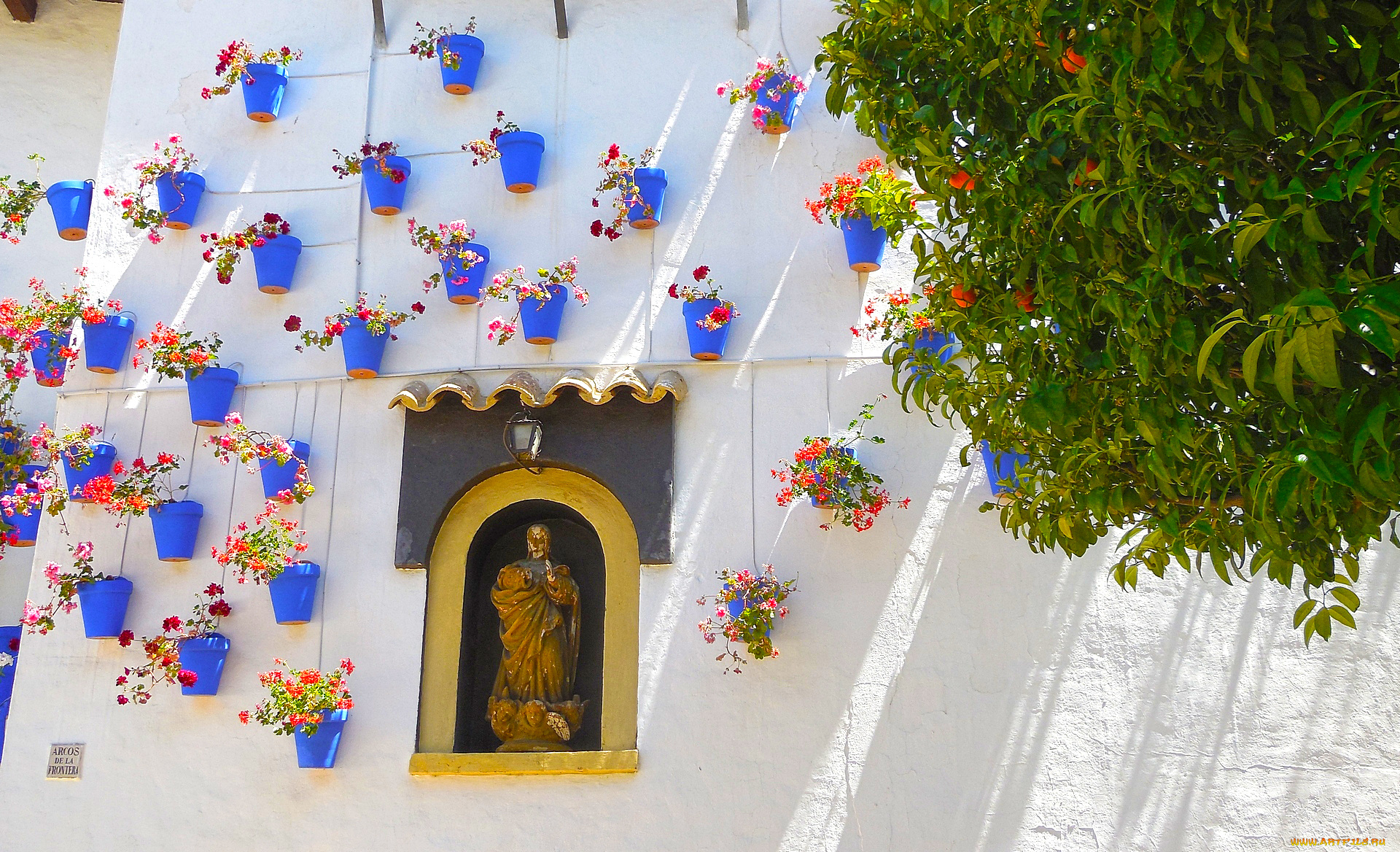 барселона, города, -, другое, дерево, цветы, скульптура