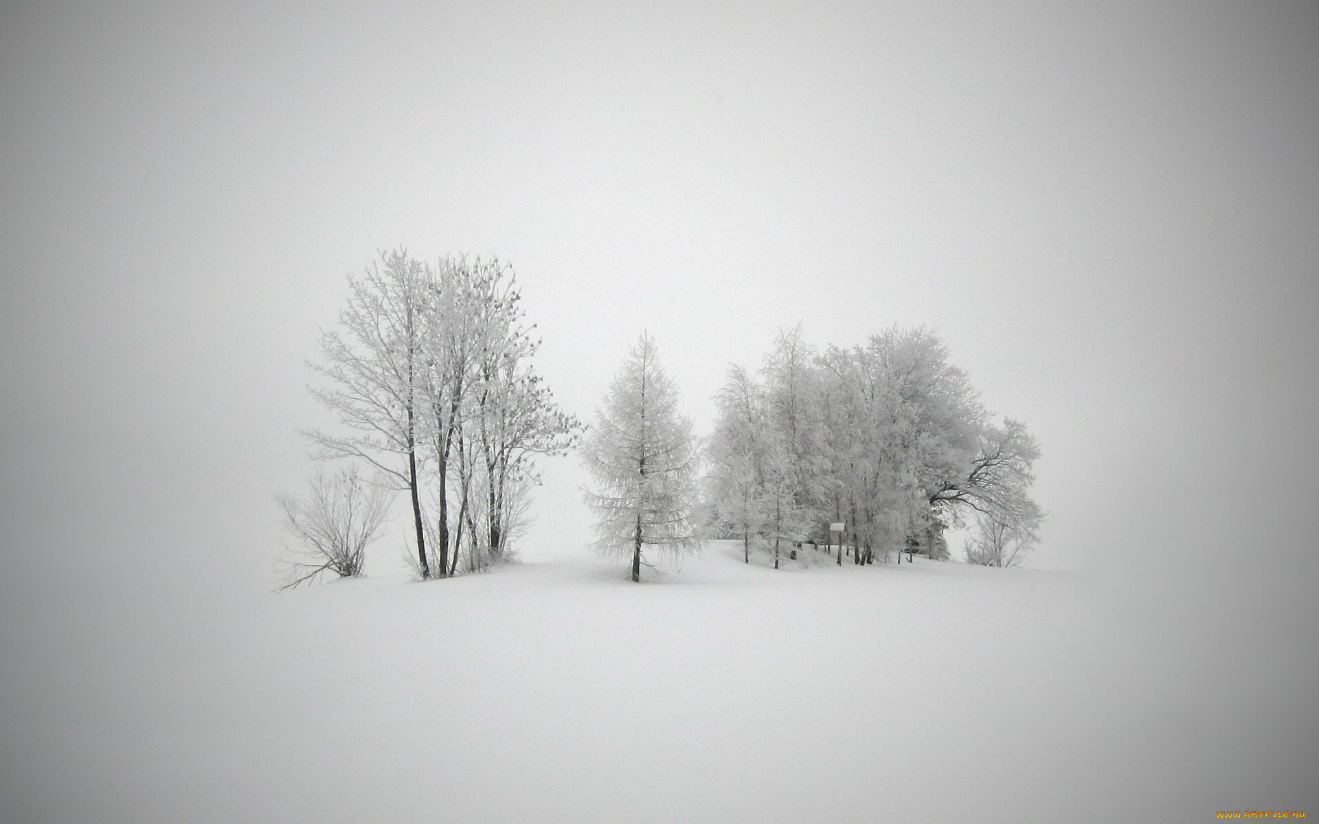природа, зима, снег, деревья
