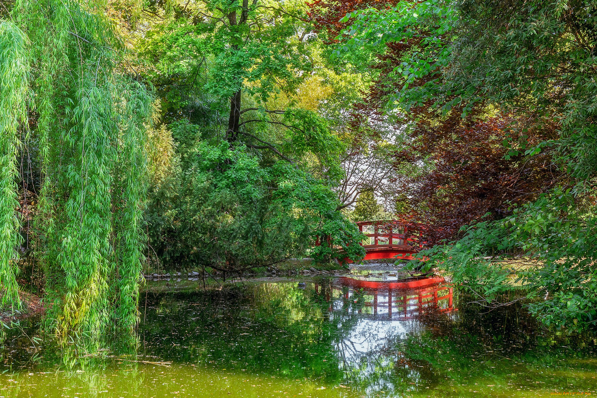 природа, парк, простор