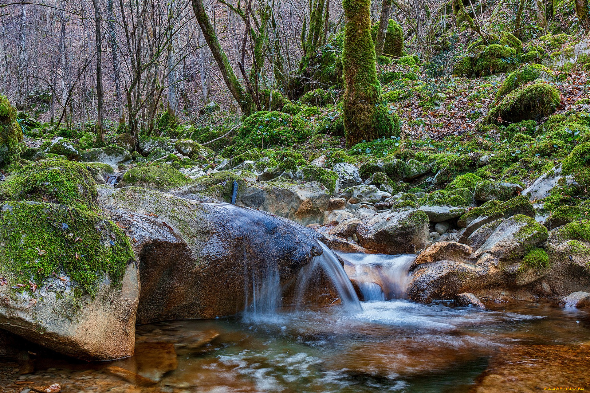 природа, реки, озера, простор