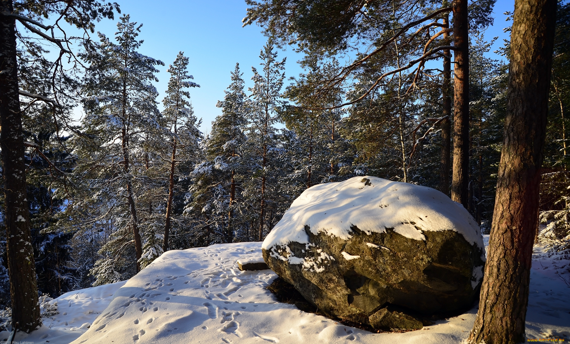 природа, зима, простор