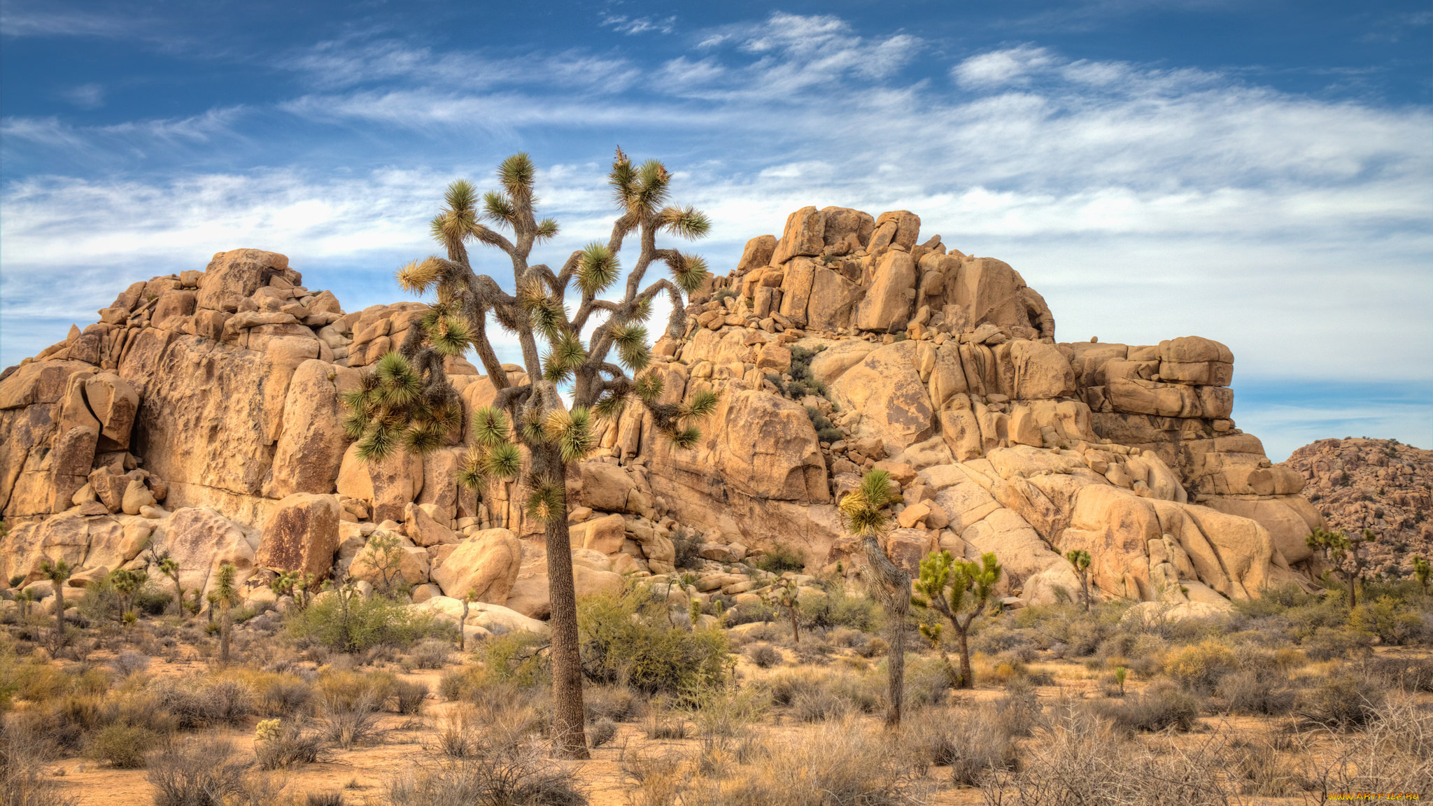 природа, пустыни, простор