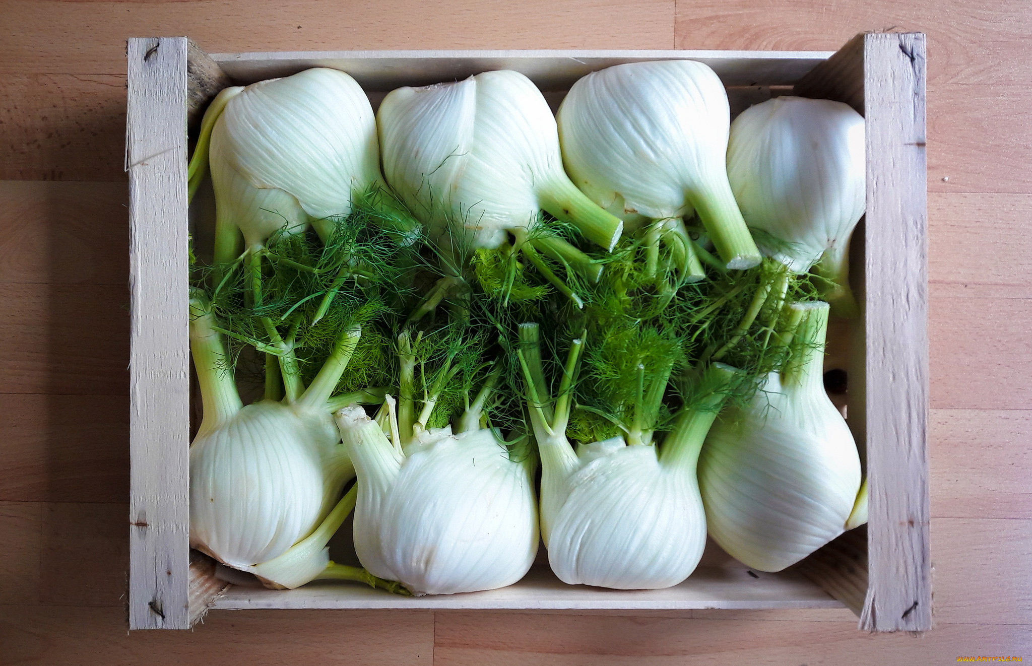 еда, лук, снедь