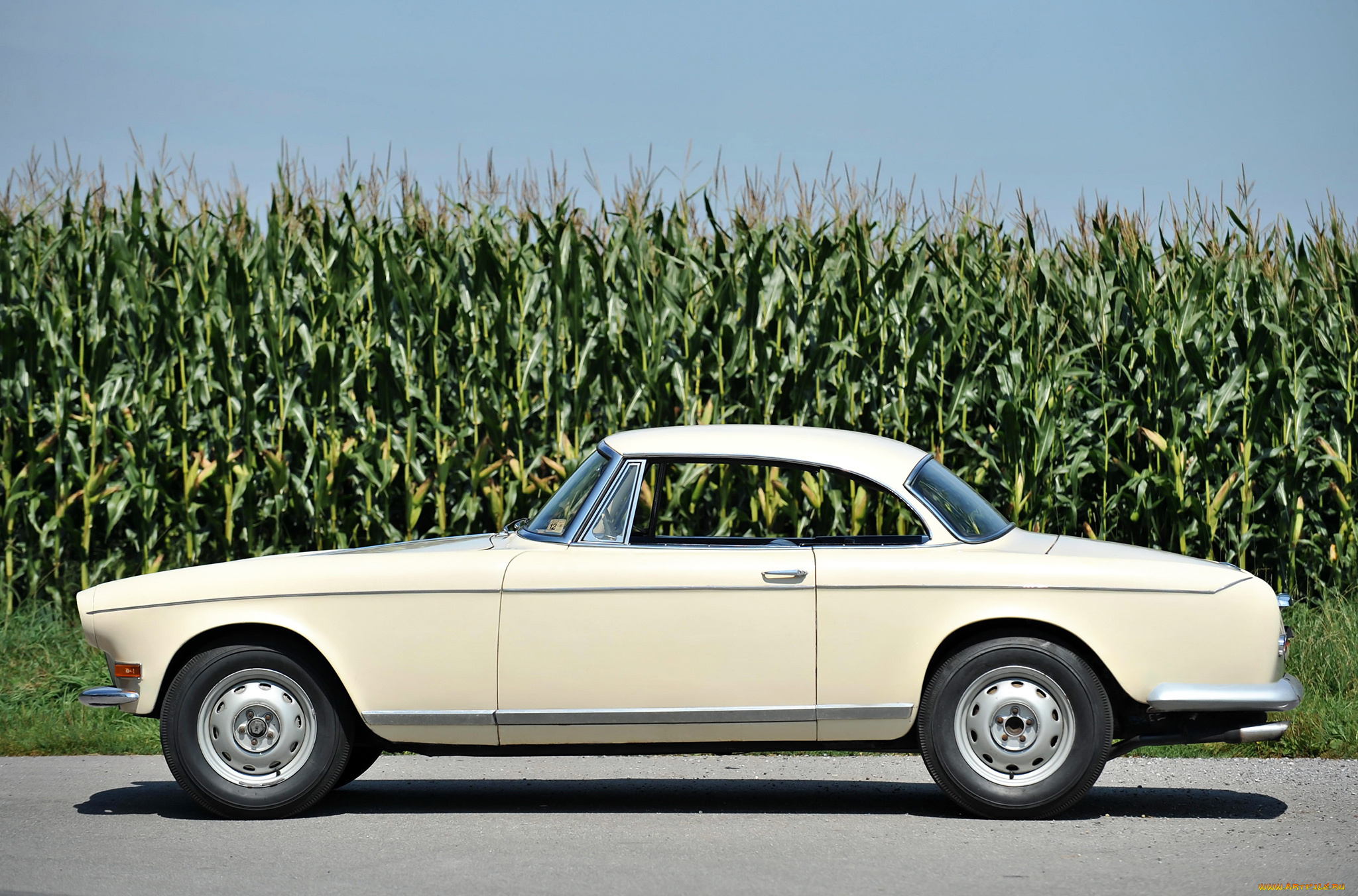 bmw, 503, coupe, by, ghia, aigle, 1956, автомобили, bmw, 1956, aigle, ghia, coupe, 503