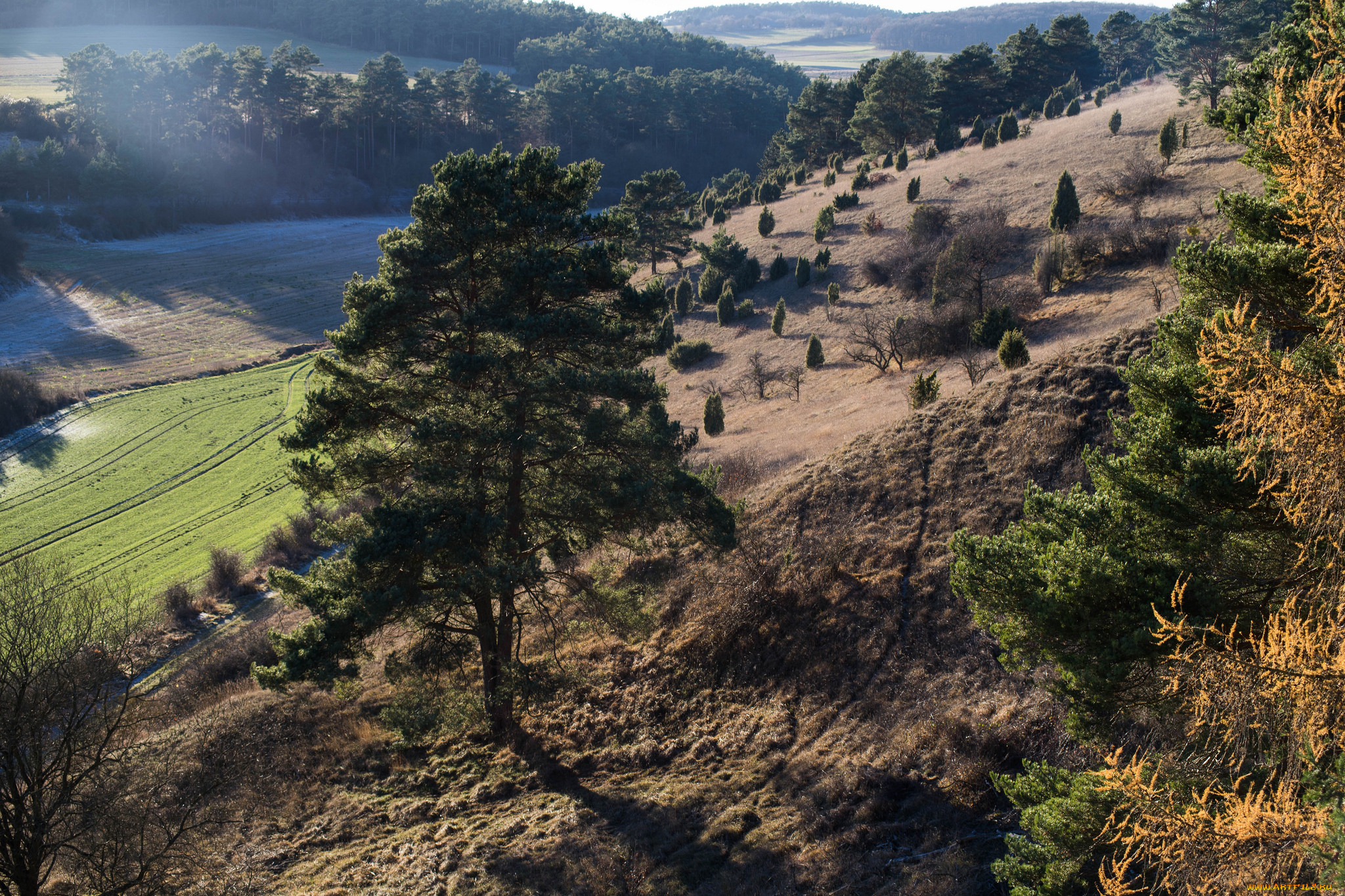 природа, пейзажи, простор