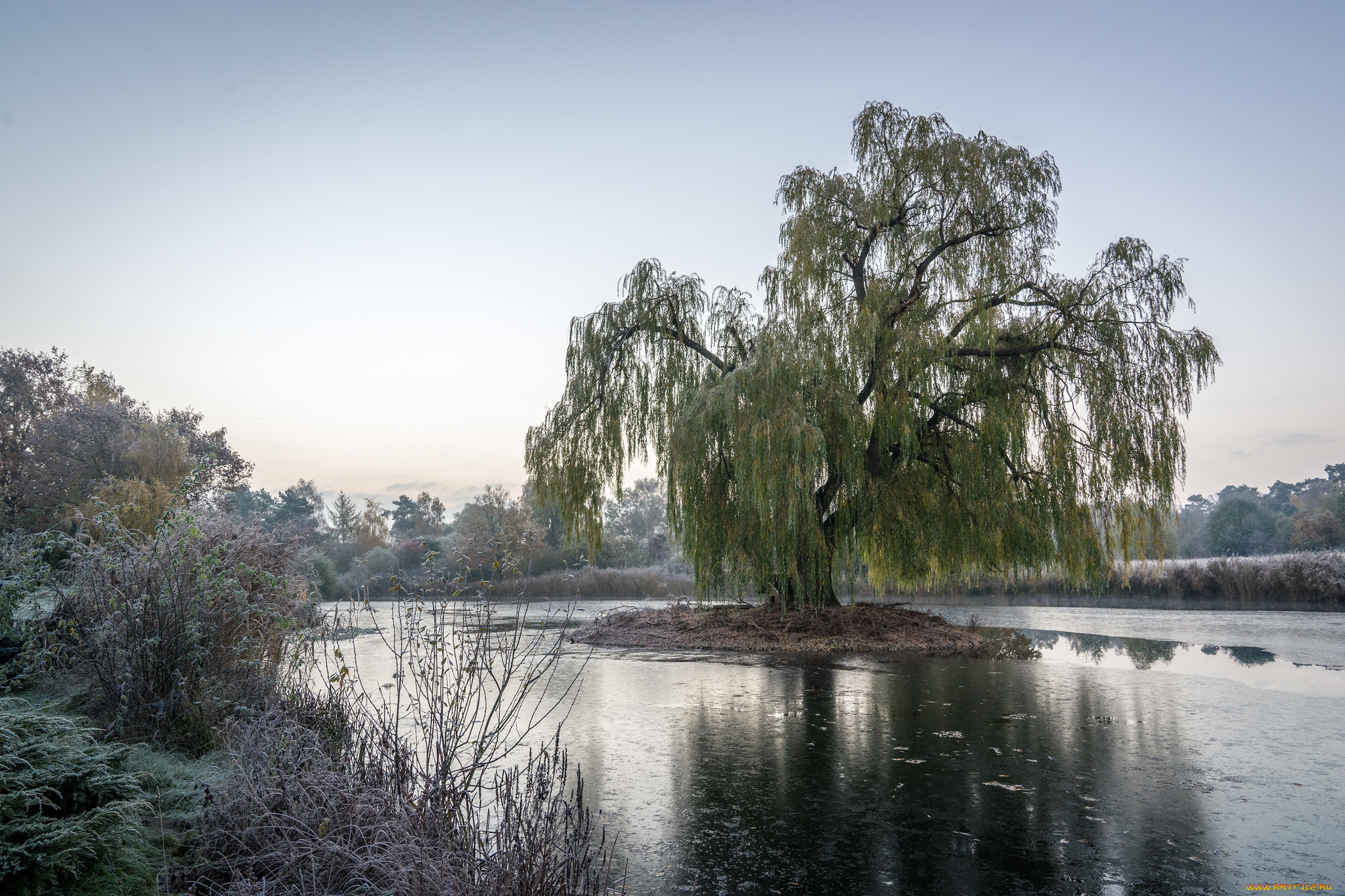 природа, реки, озера, простор