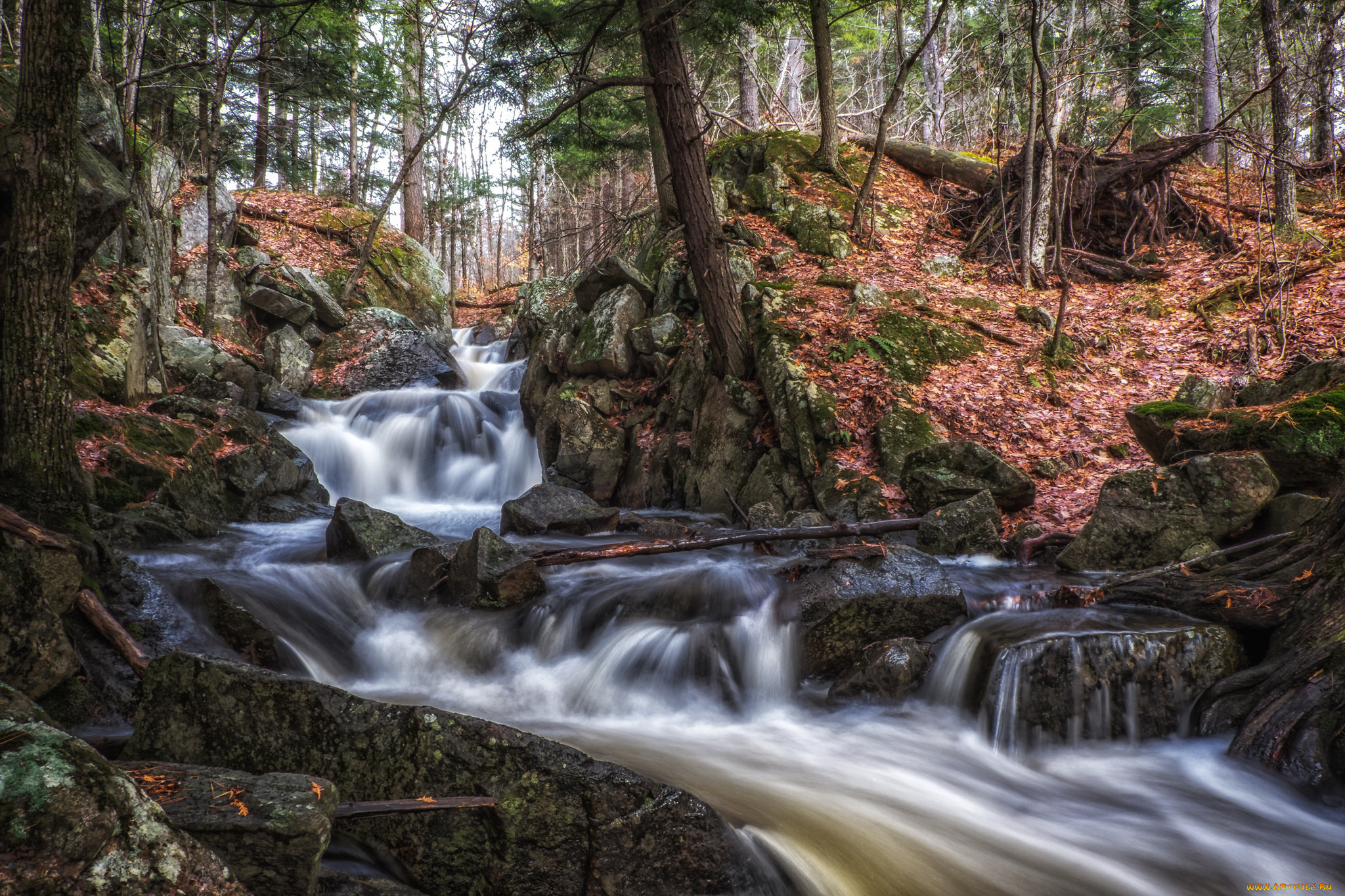 природа, реки, озера, простор