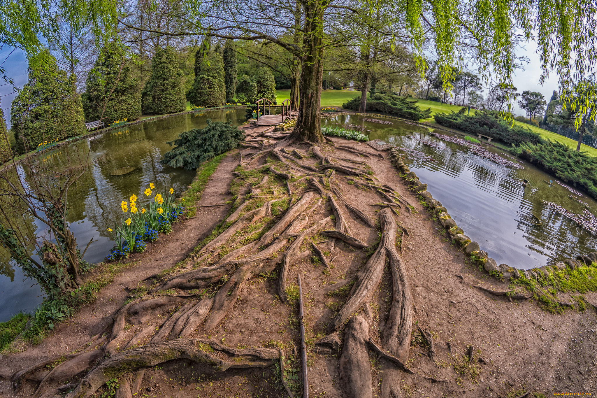 природа, реки, озера, простор