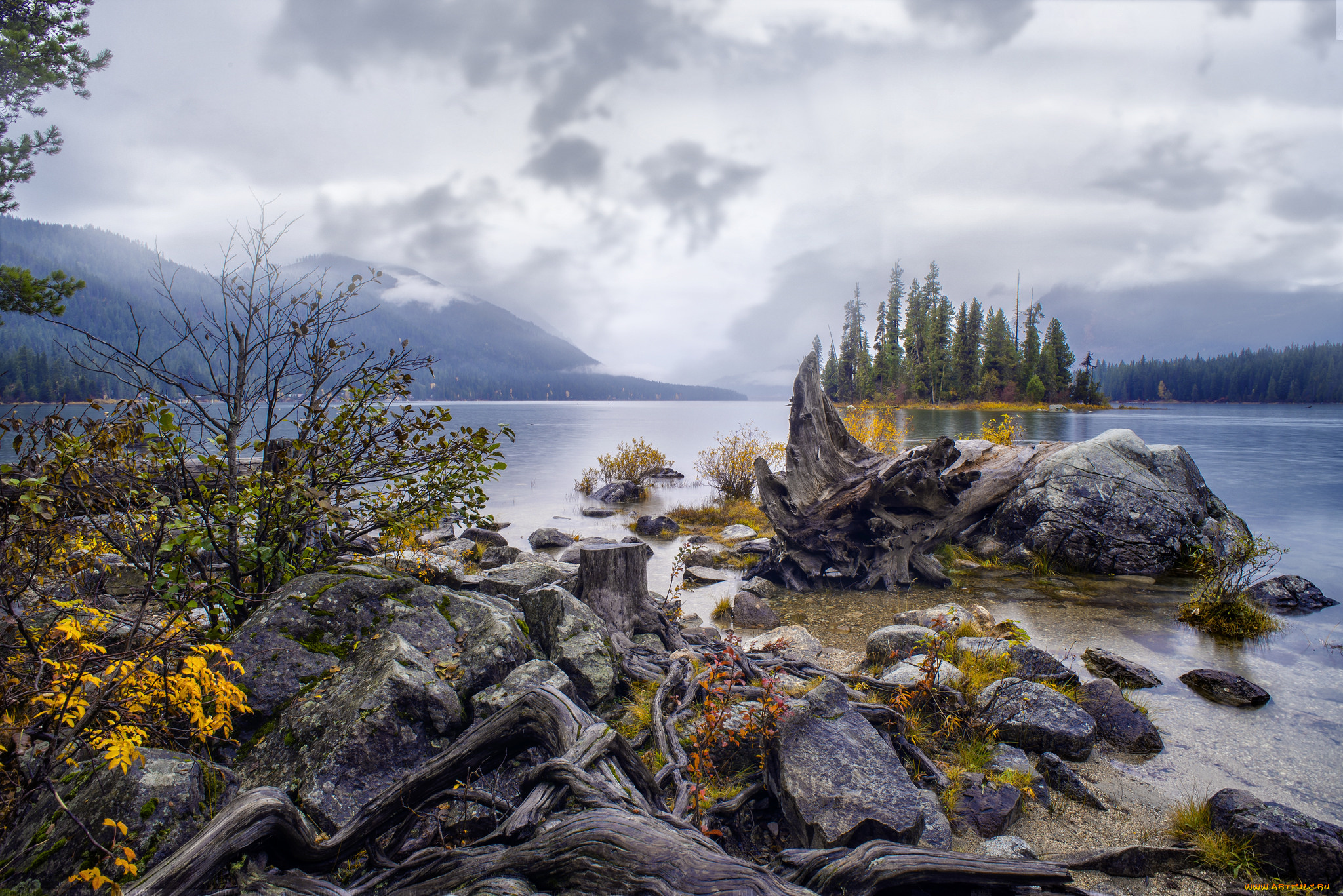 природа, реки, озера, простор