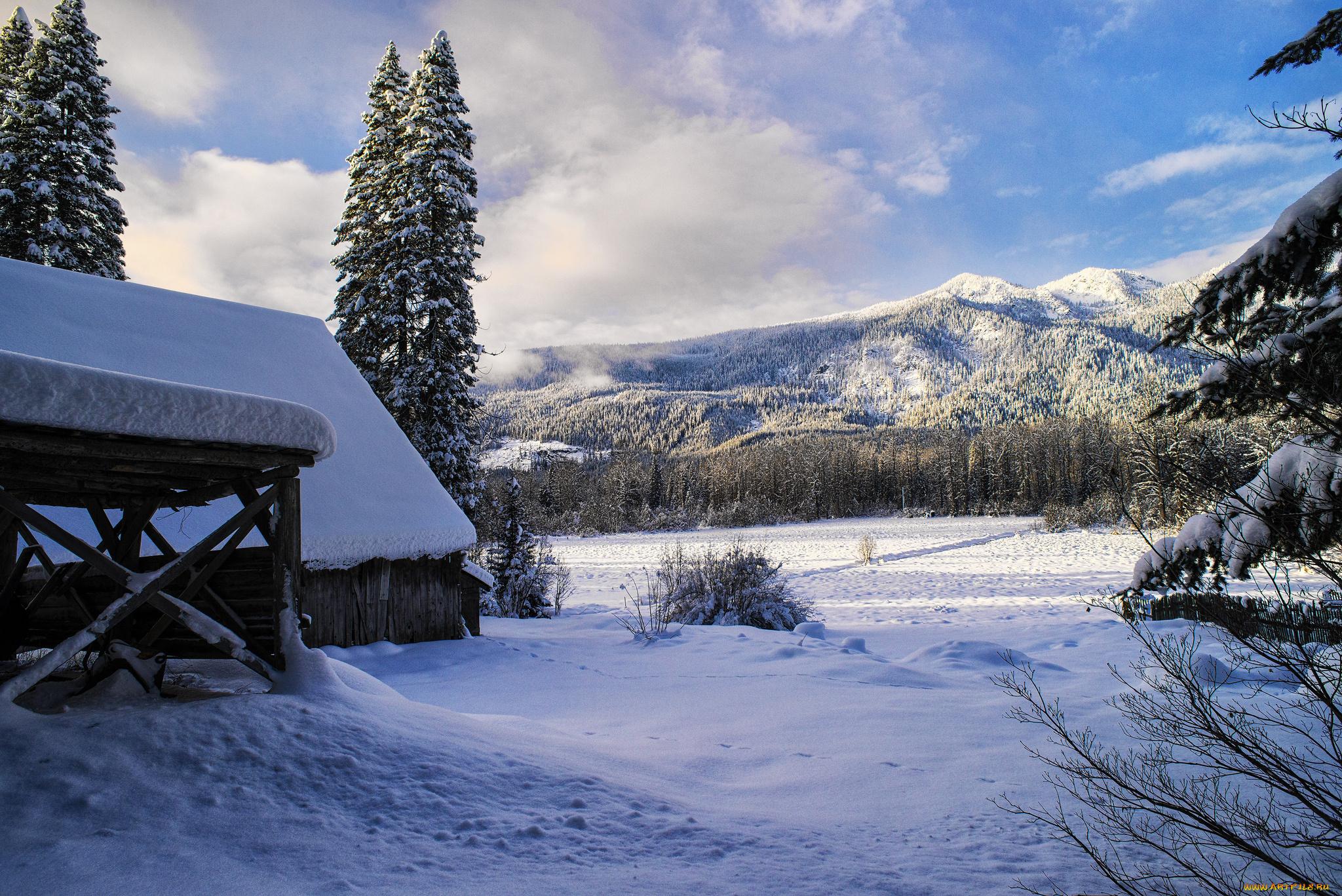 природа, зима, простор