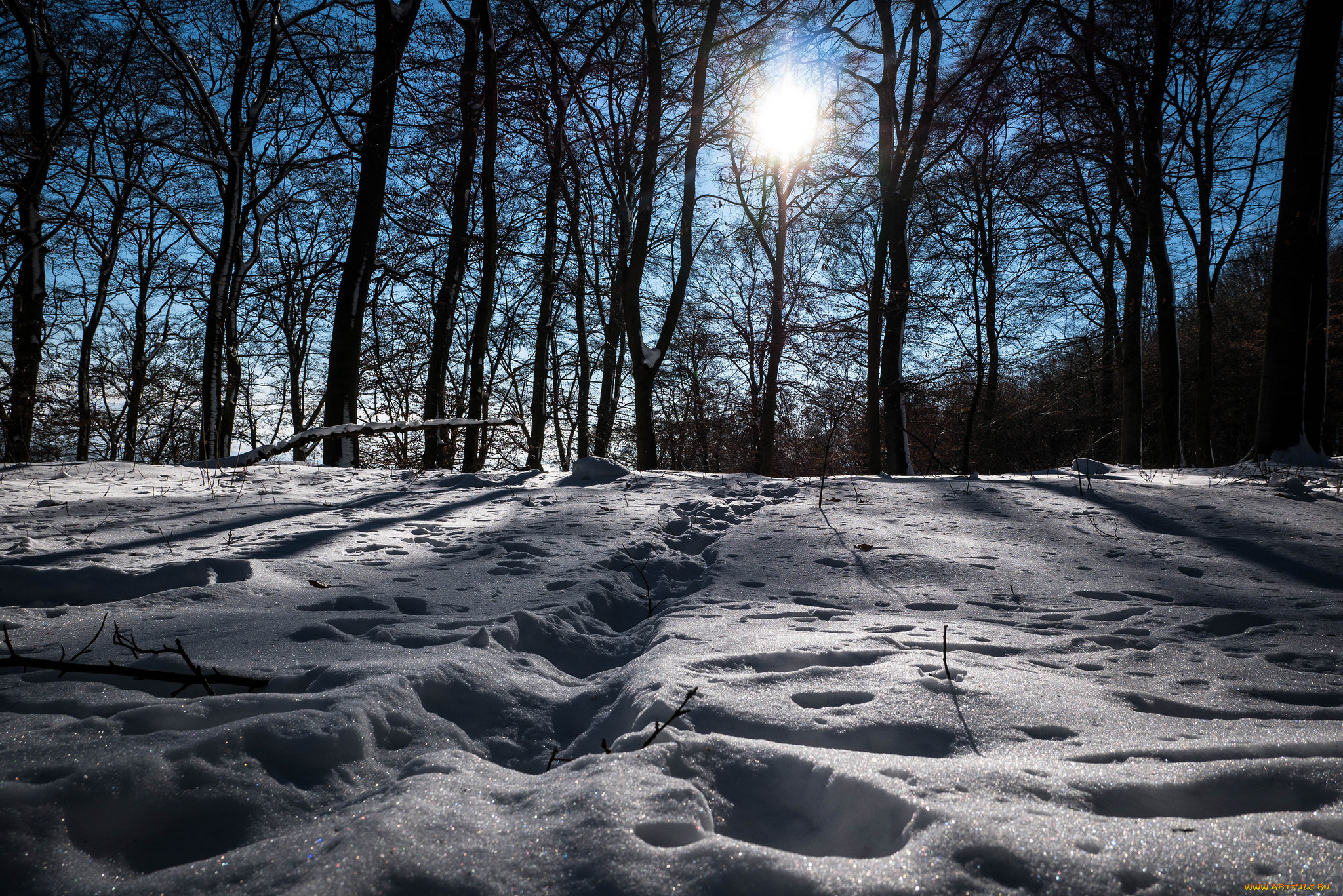 природа, зима, простор