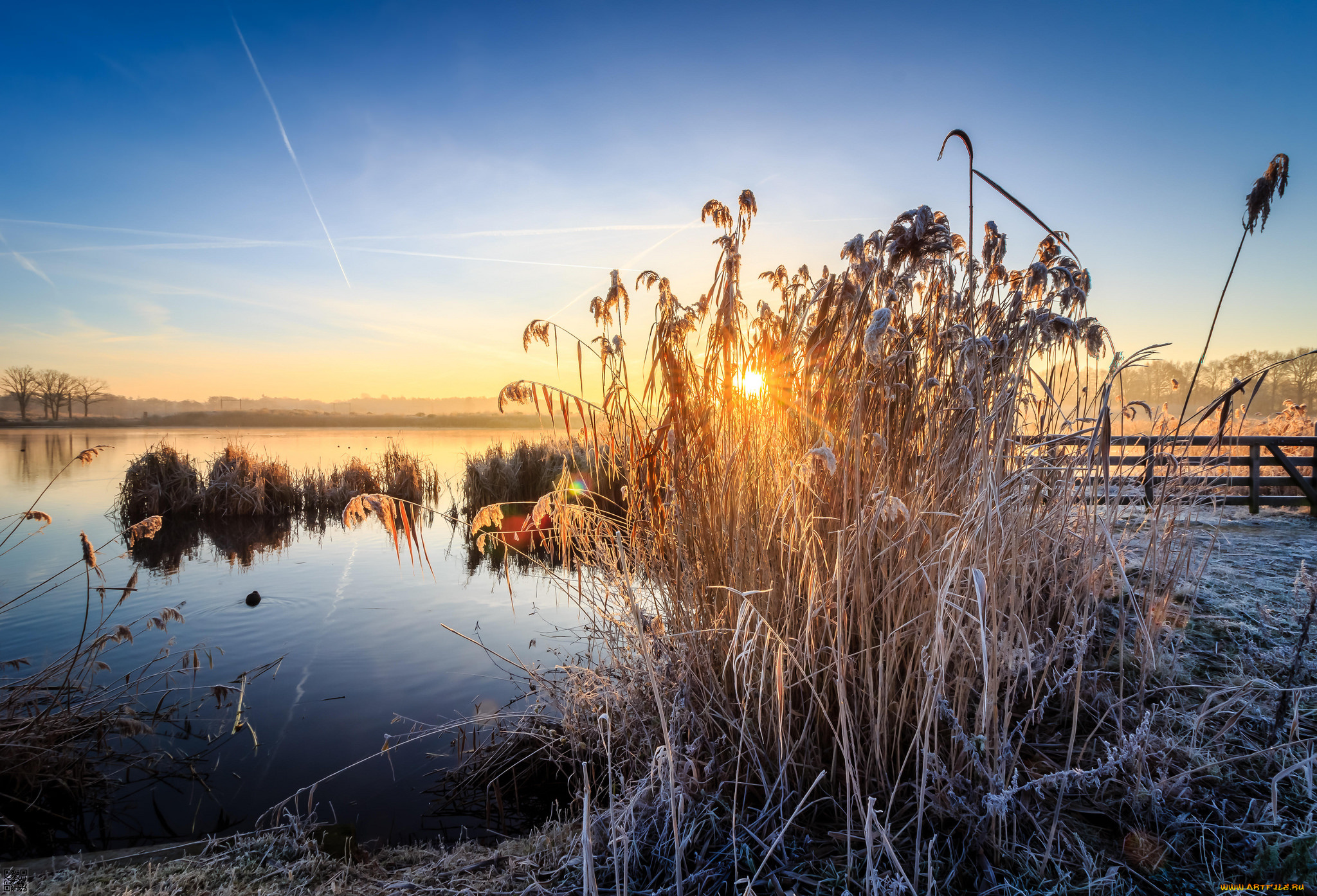 природа, реки, озера, простор