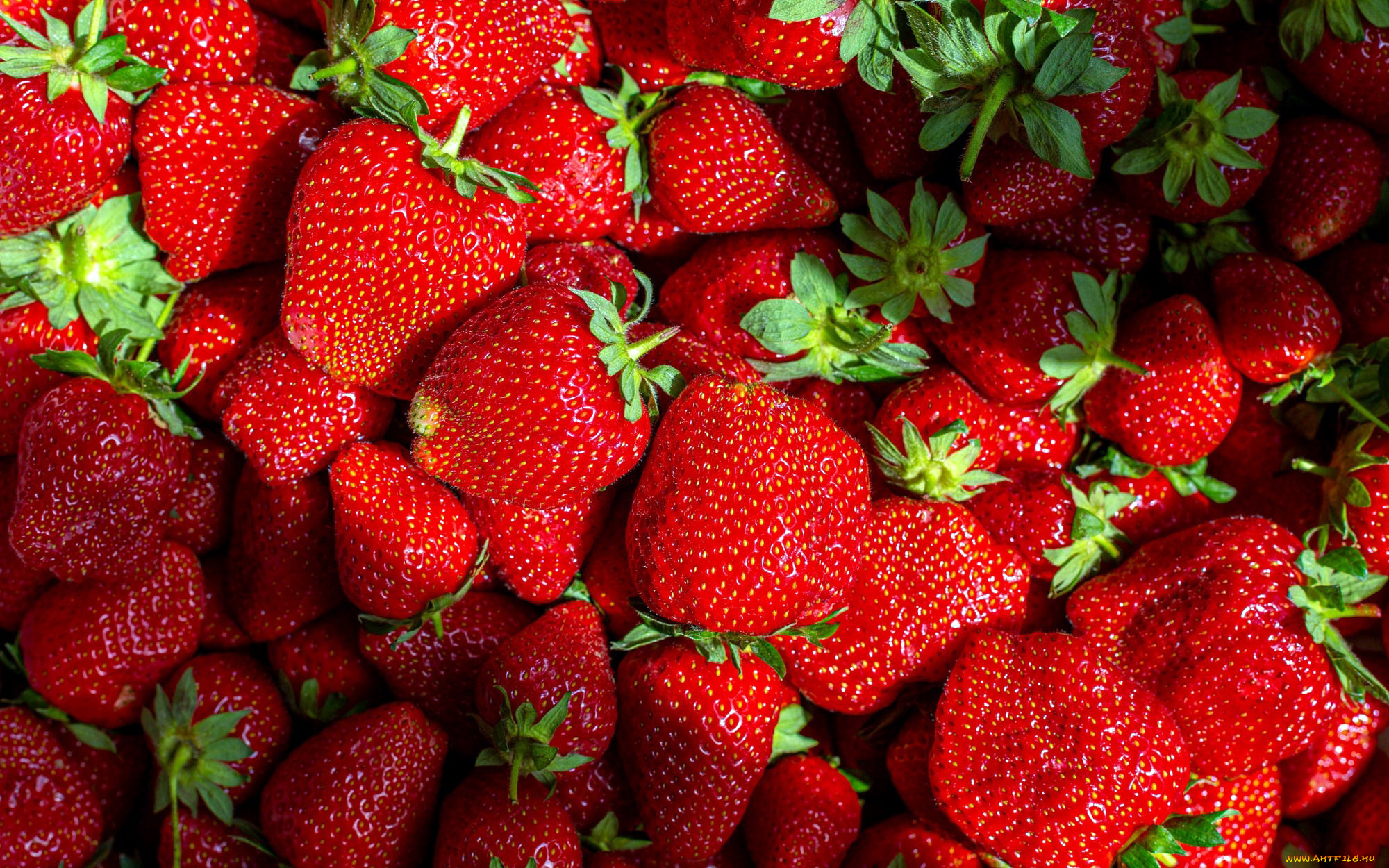 еда, клубника, , земляника