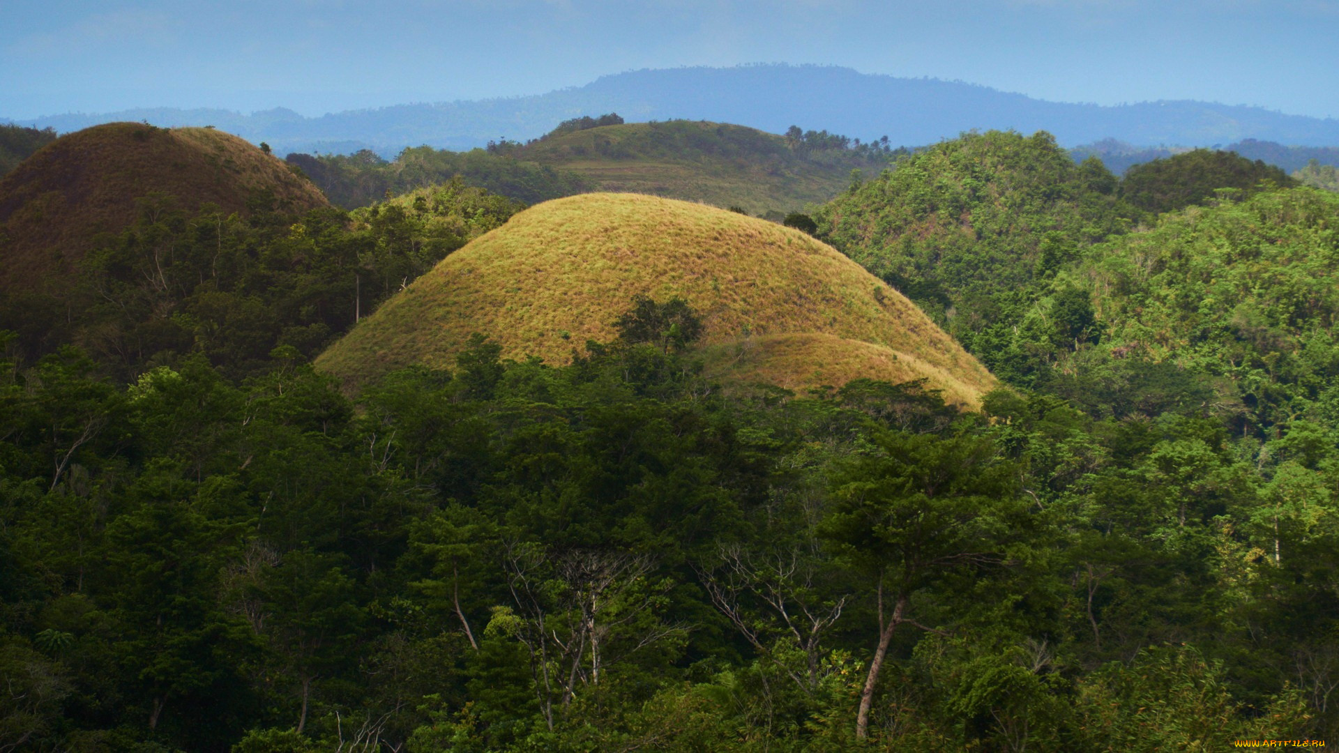 chocolate, hills, bohol, philippines, природа, горы, chocolate, hills