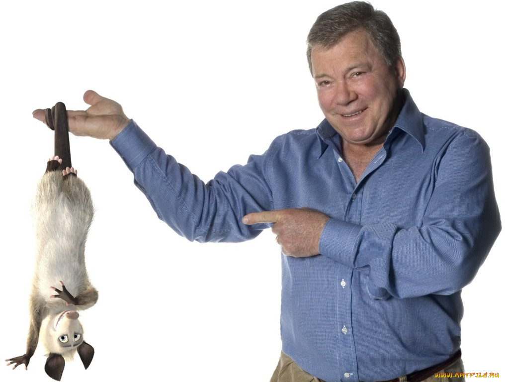 мультфильмы, over, the, hedge