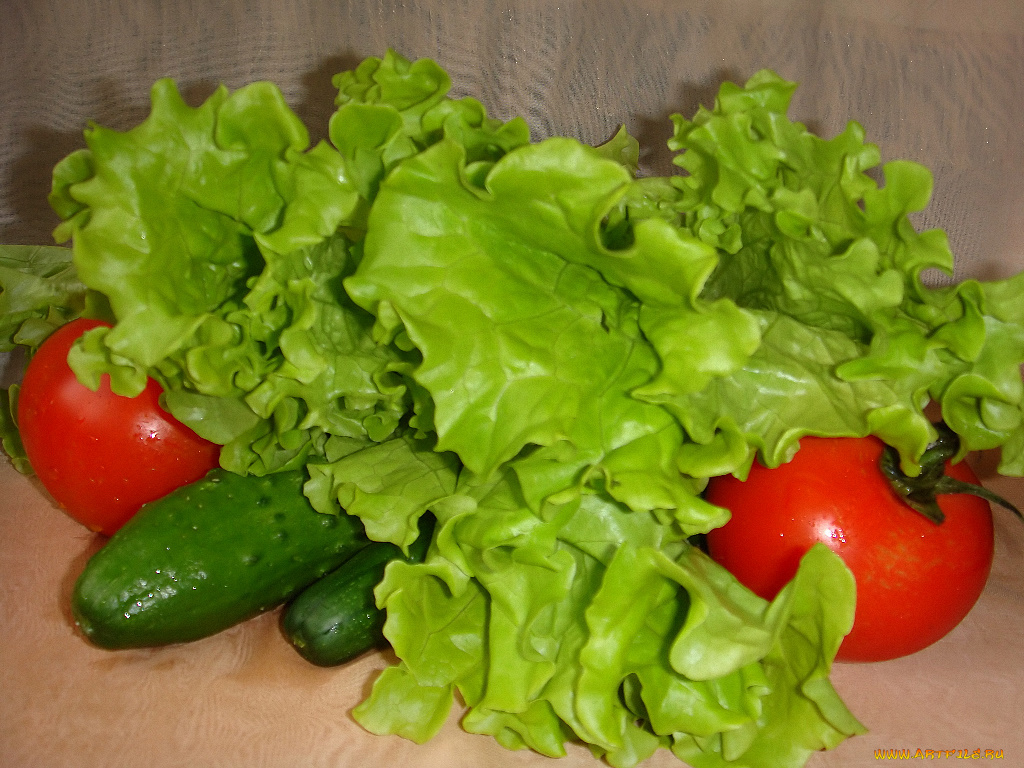 еда, овощи, помидоры, томаты, огурцы