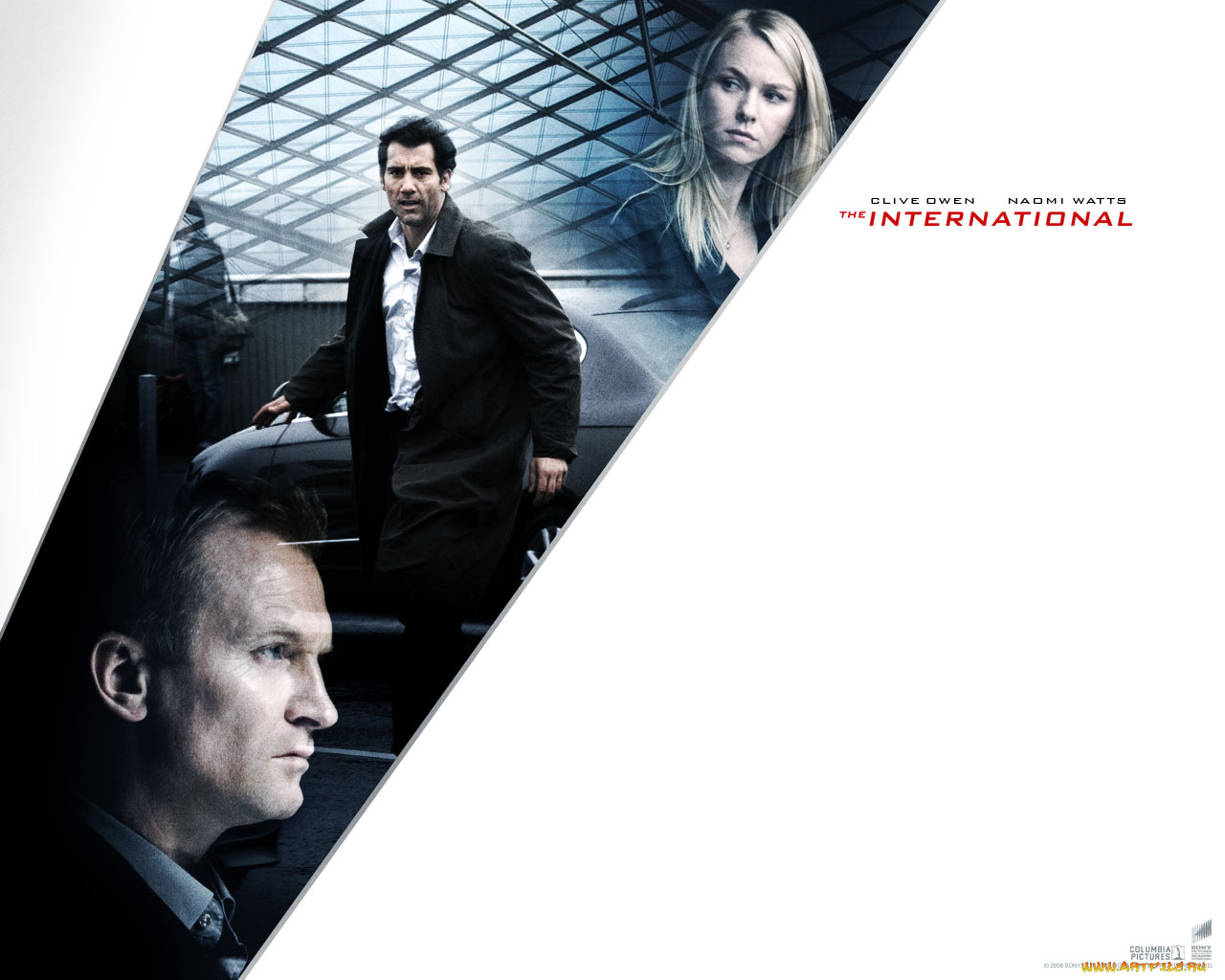 the, international, кино, фильмы