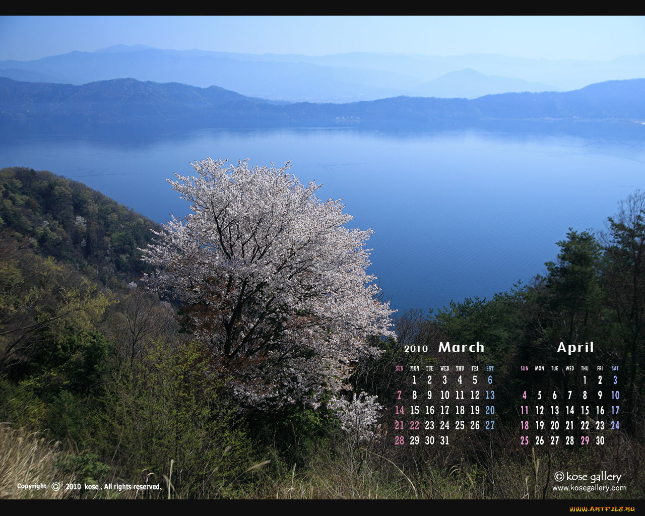 календари, природа