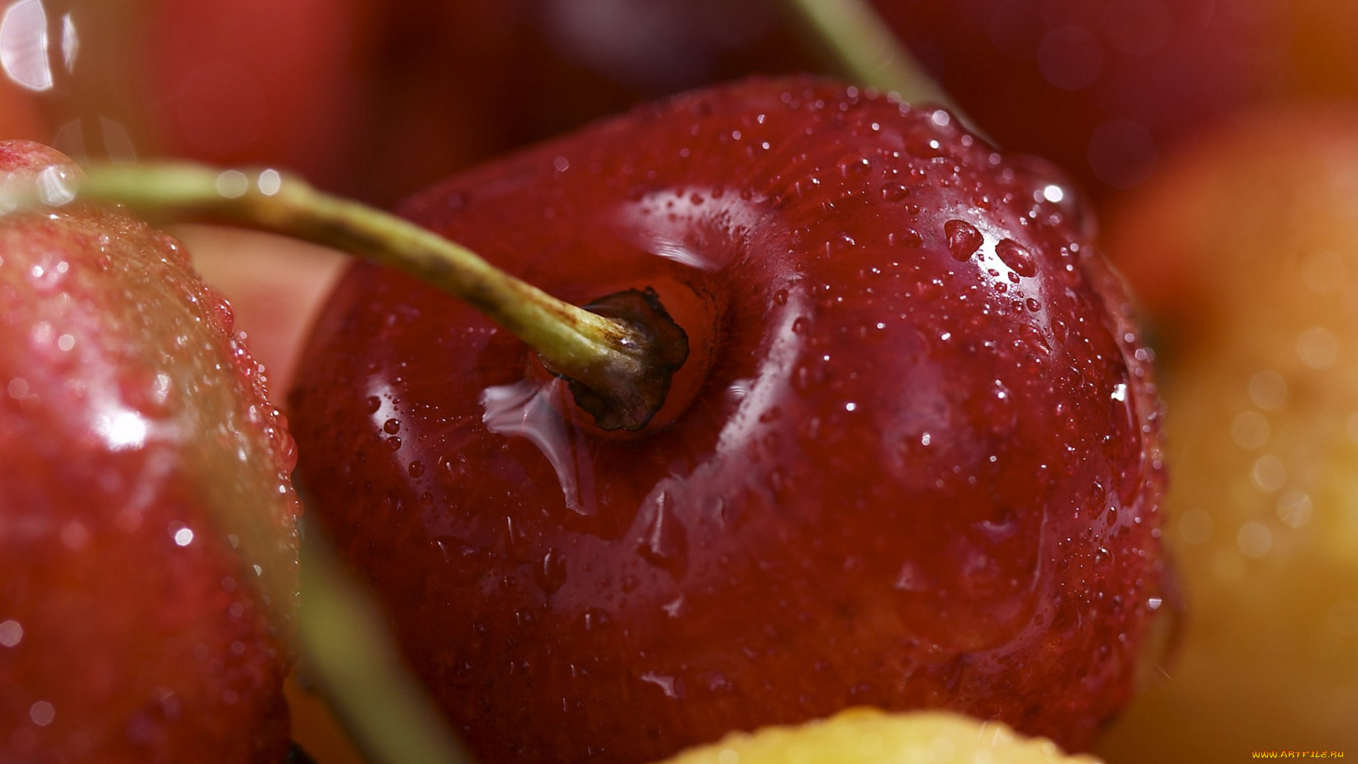 еда, вишня, черешня