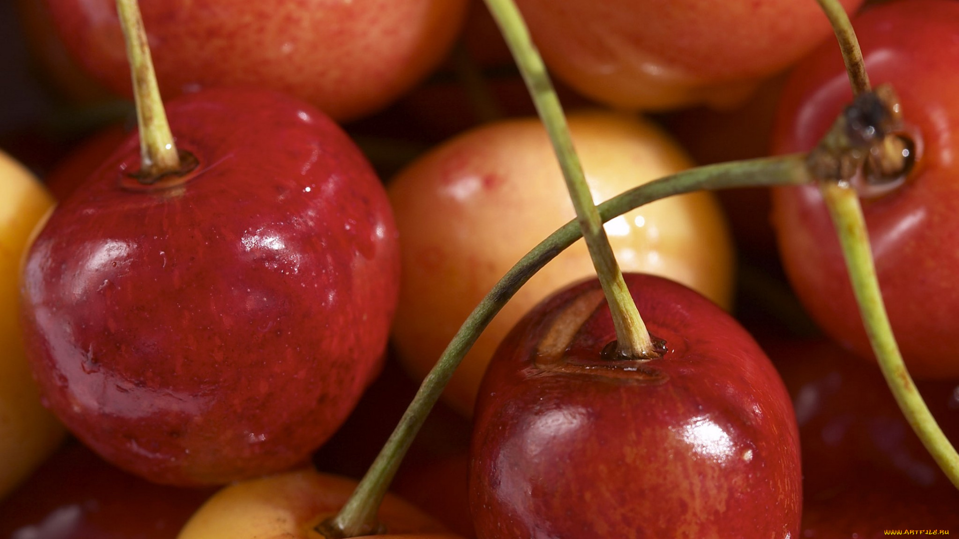 еда, вишня, черешня