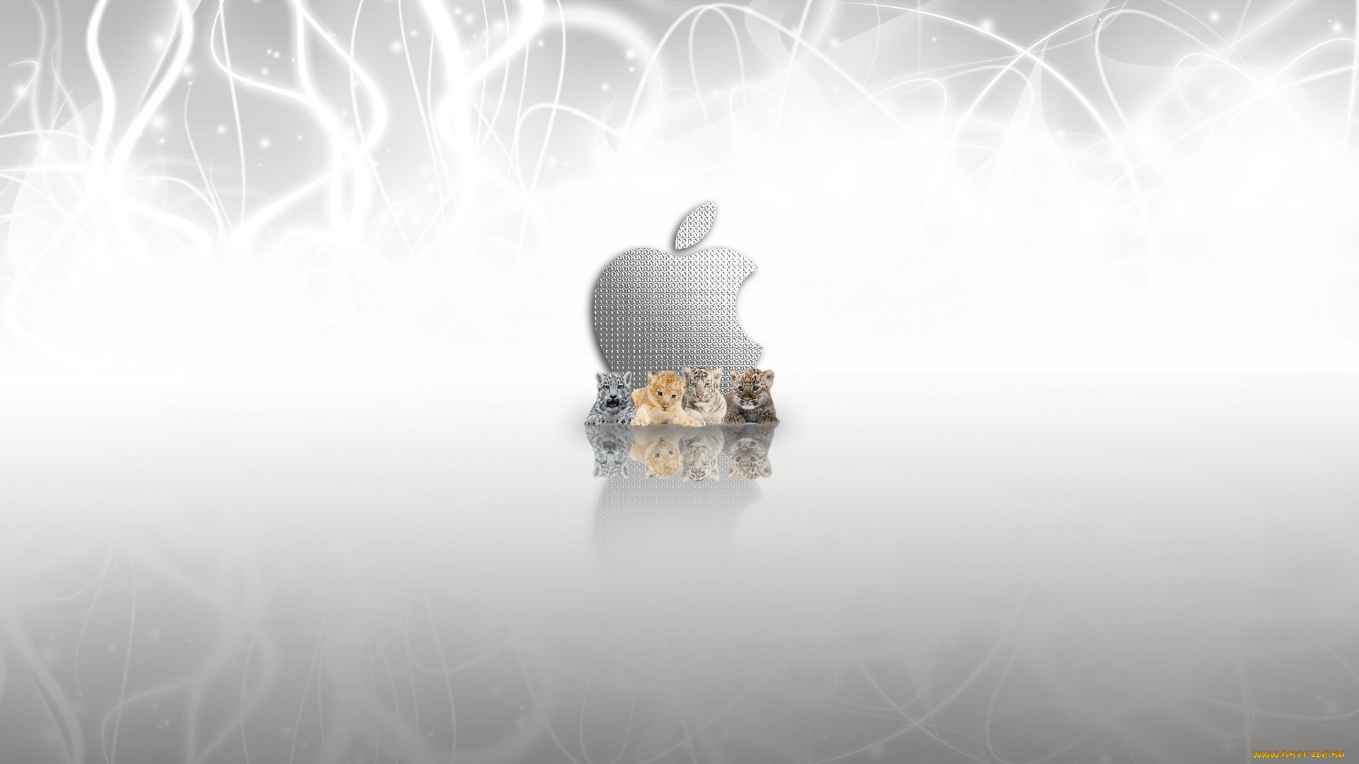 компьютеры, apple