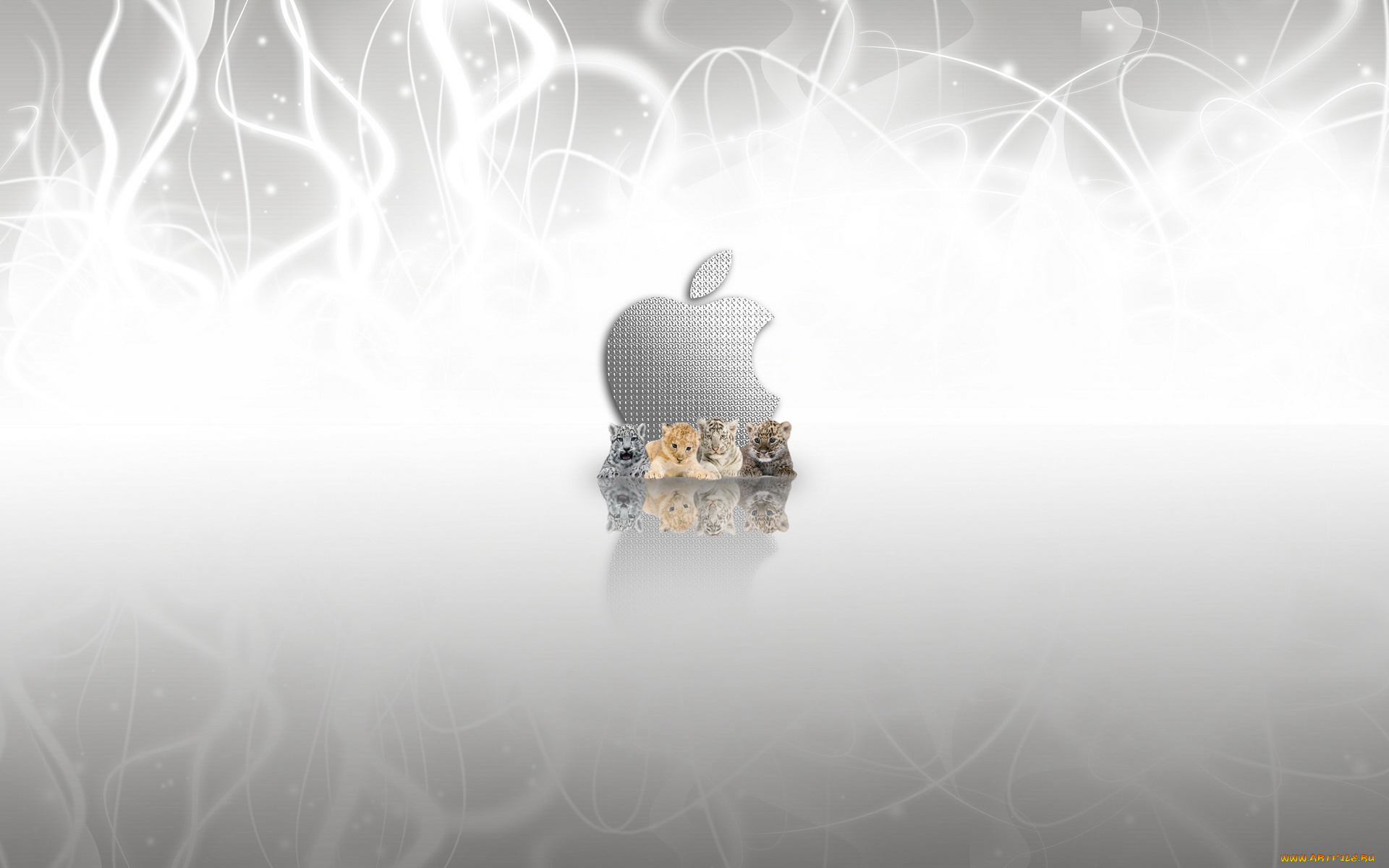 компьютеры, apple