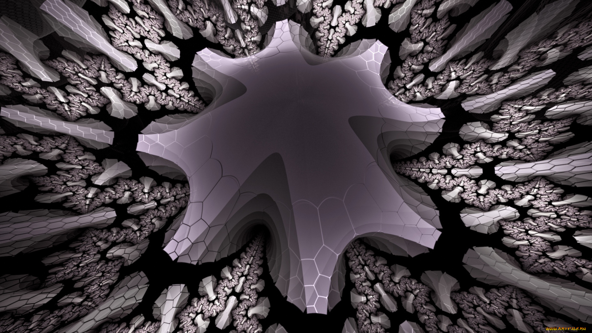 3д, графика, fractal, фракталы, фон, узор