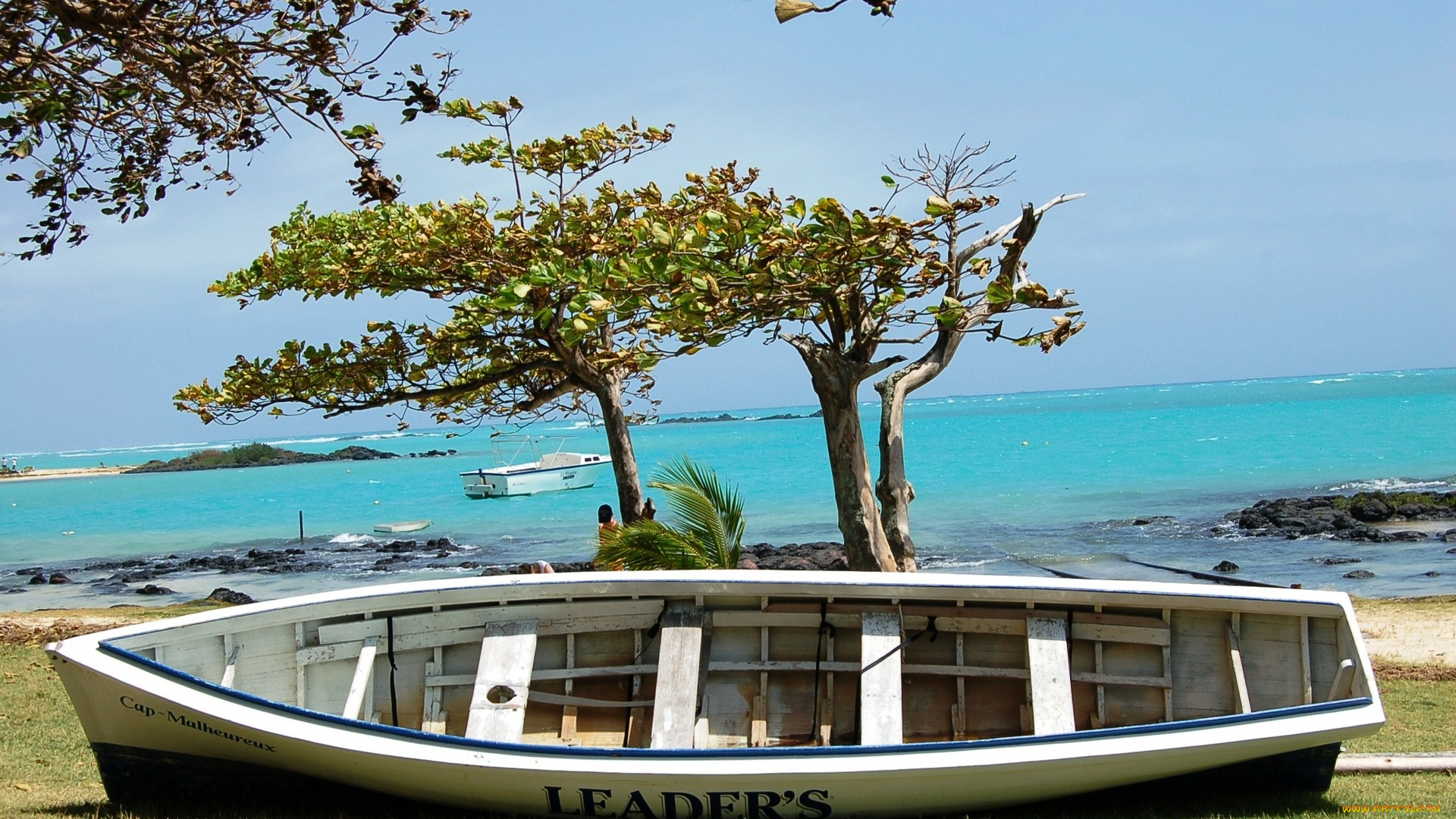 корабли, лодки, шлюпки, деревья, берег, море, лодка