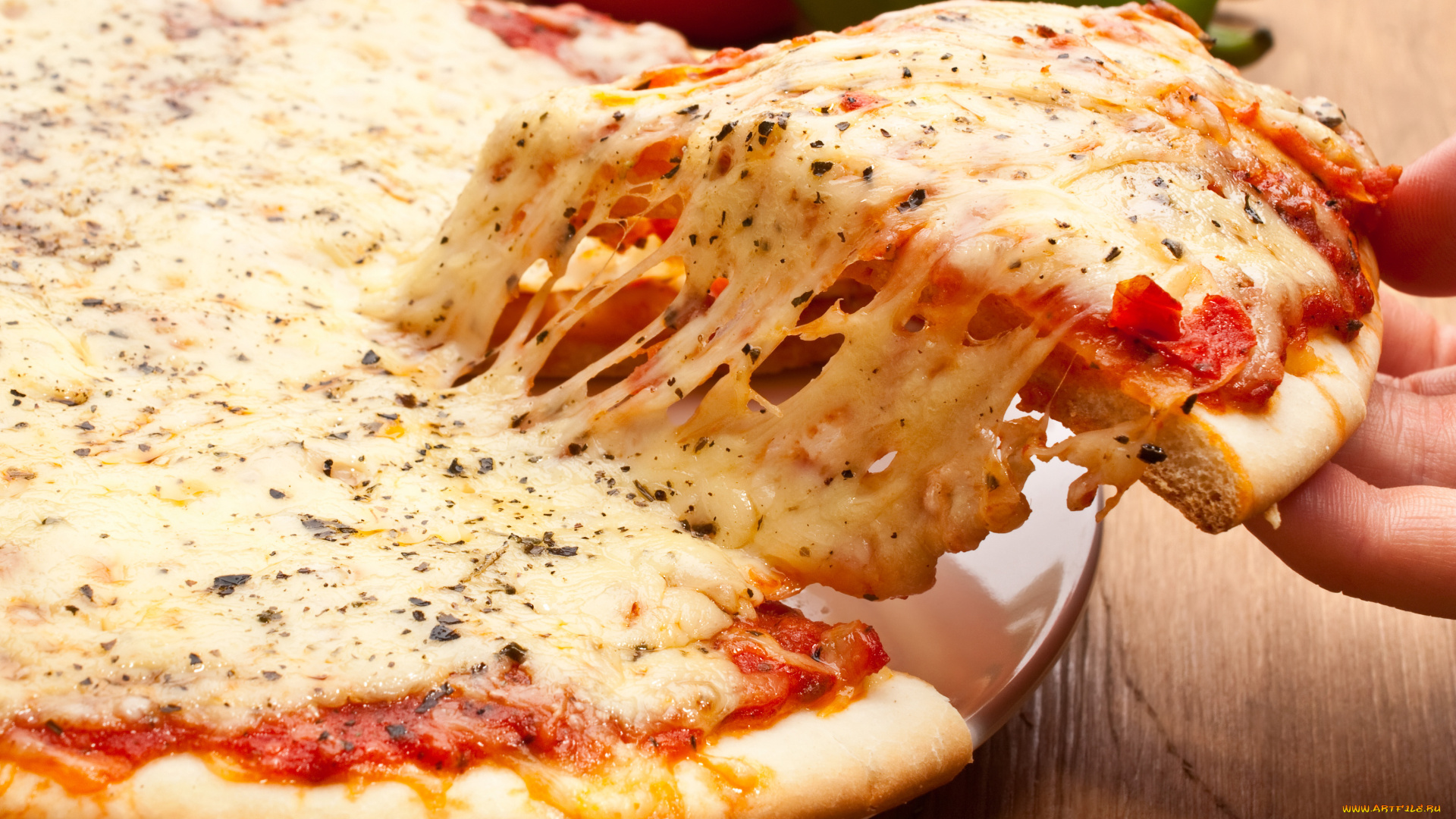 еда, пицца, сыр, тарелка