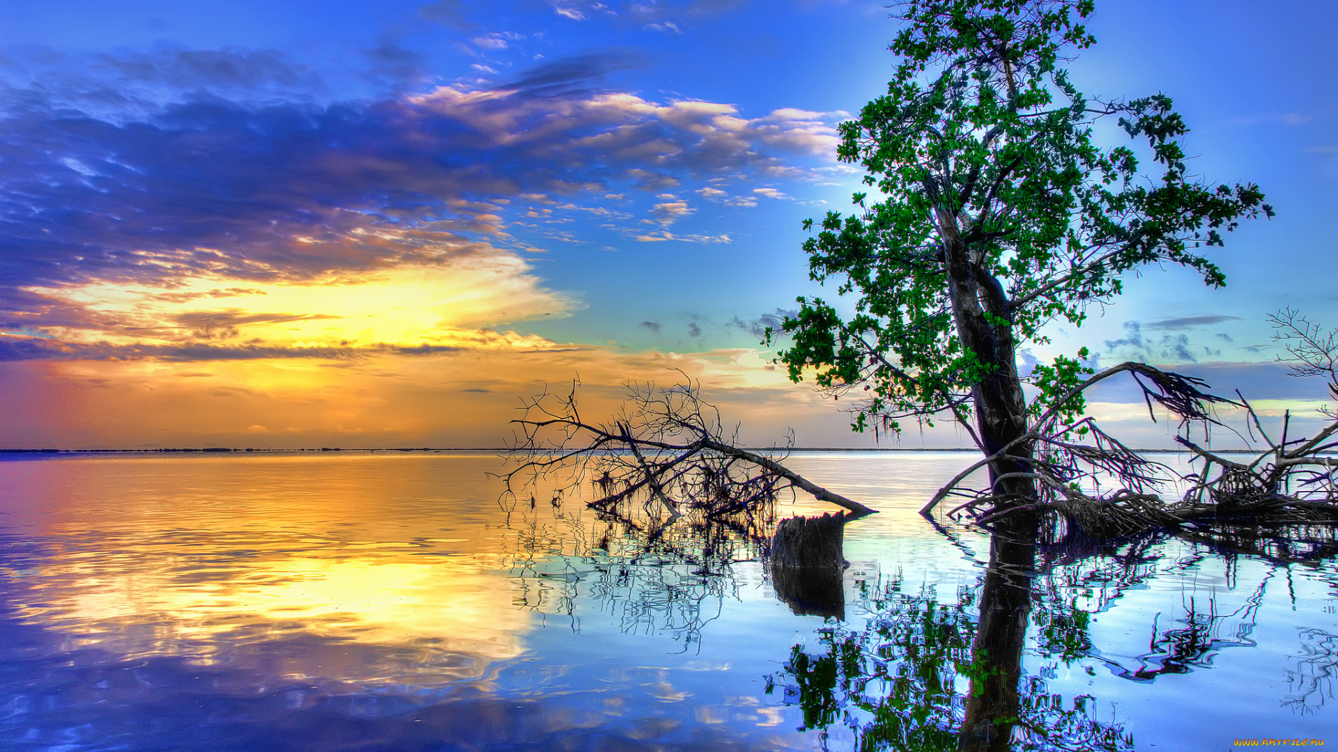 природа, деревья, вода, закат, отражение, река