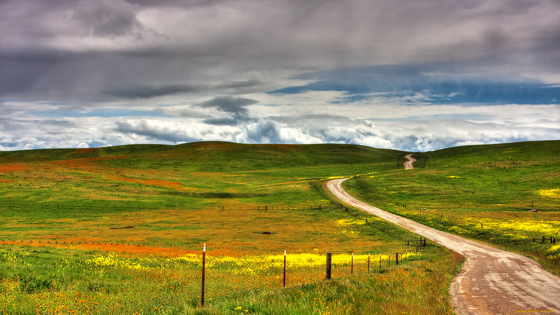 природа, дороги, трава, дорога, холмы, поля