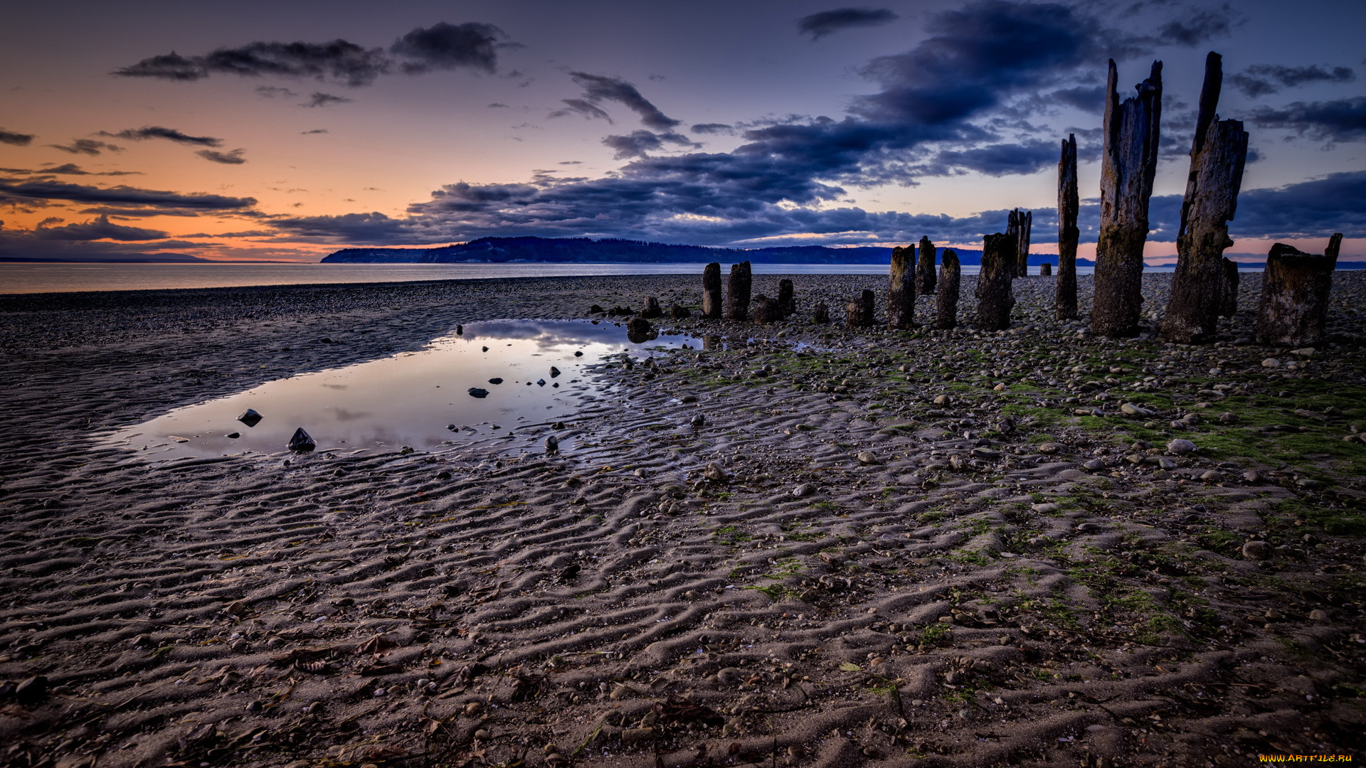 природа, побережье, отлив, сваи, тучи, берег