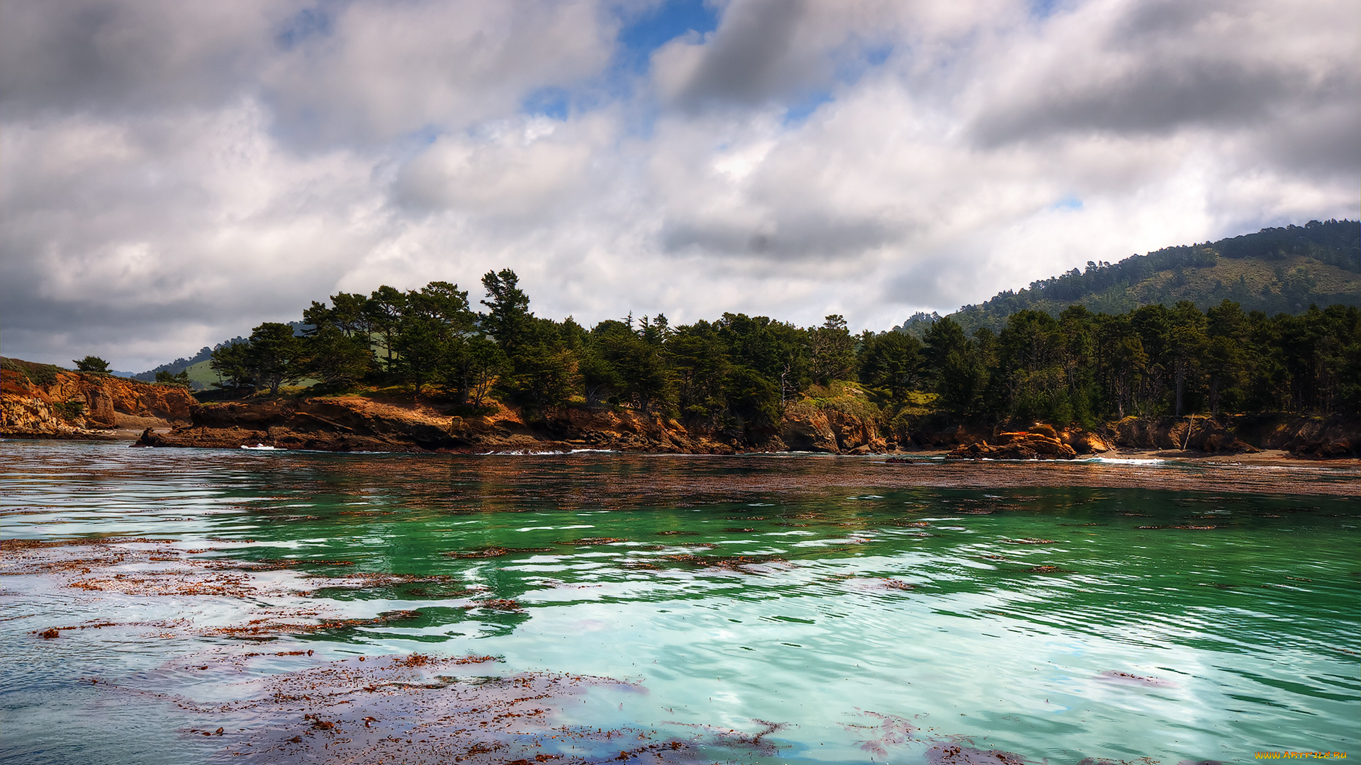 природа, реки, озера, река, водоросли, лес