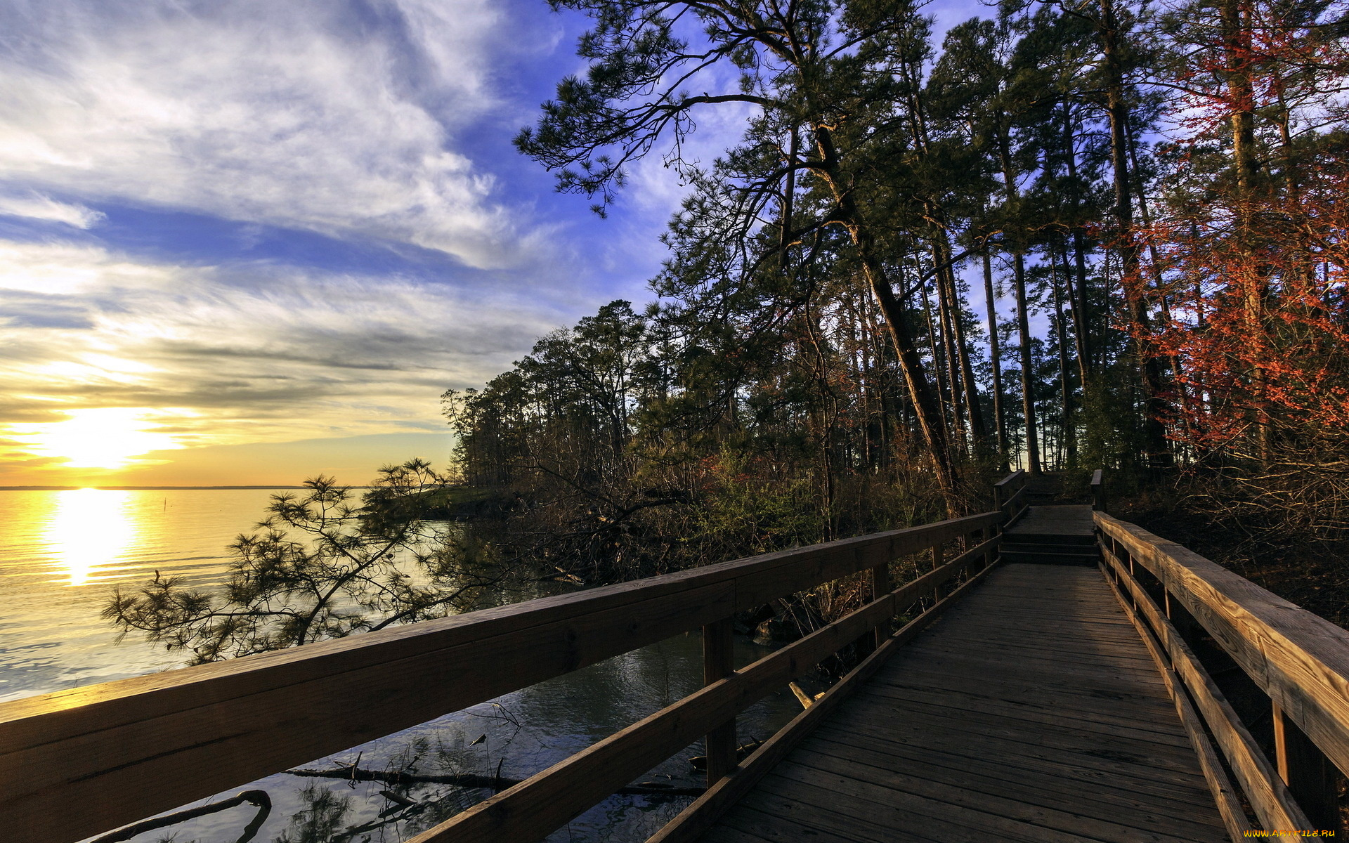 природа, дороги, озеро, мостик, лес