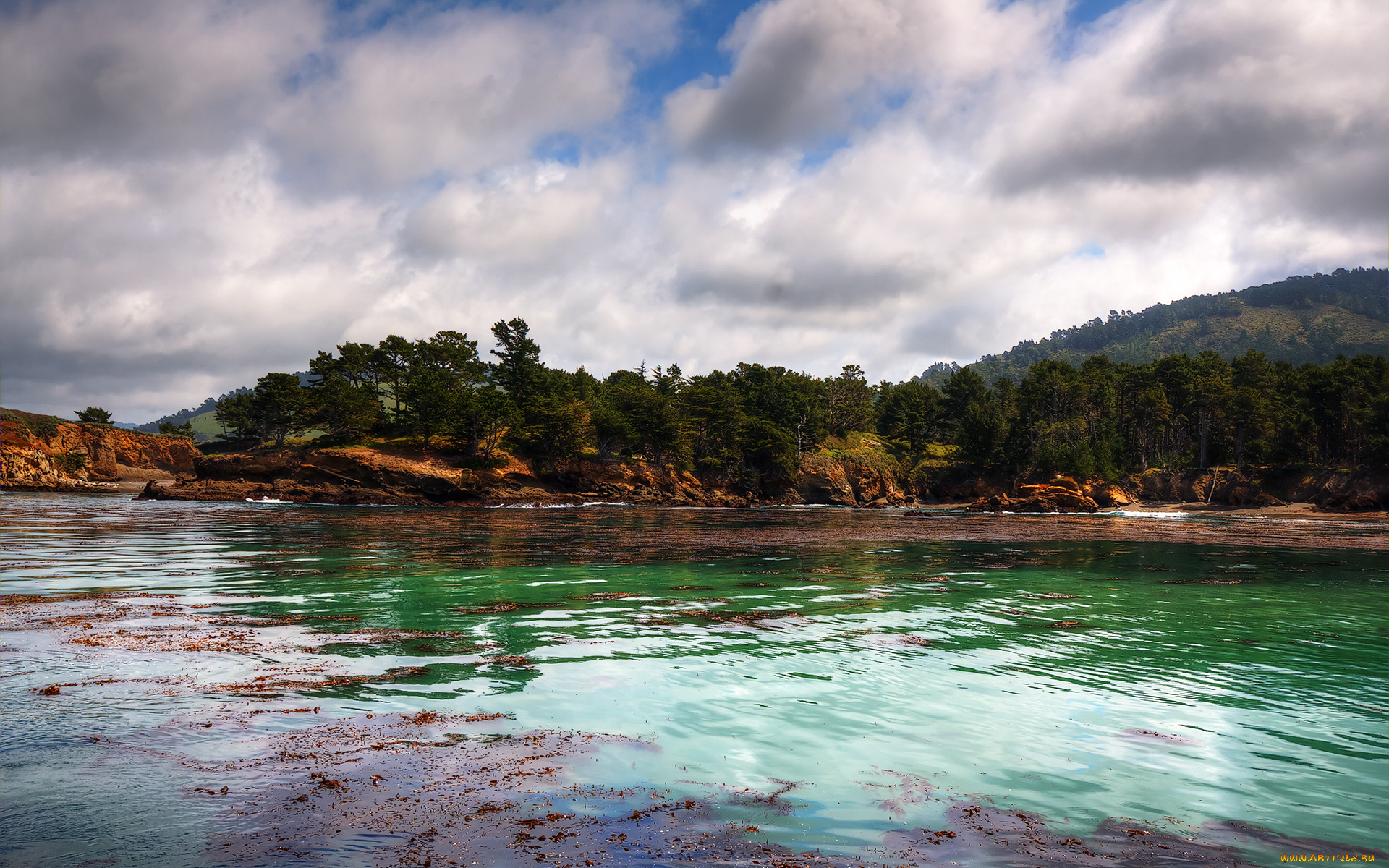 природа, реки, озера, река, водоросли, лес