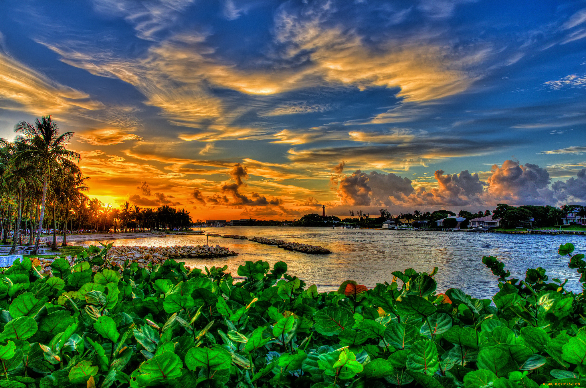 dubois, park, jupiter, florida, природа, парк, закат, флорида