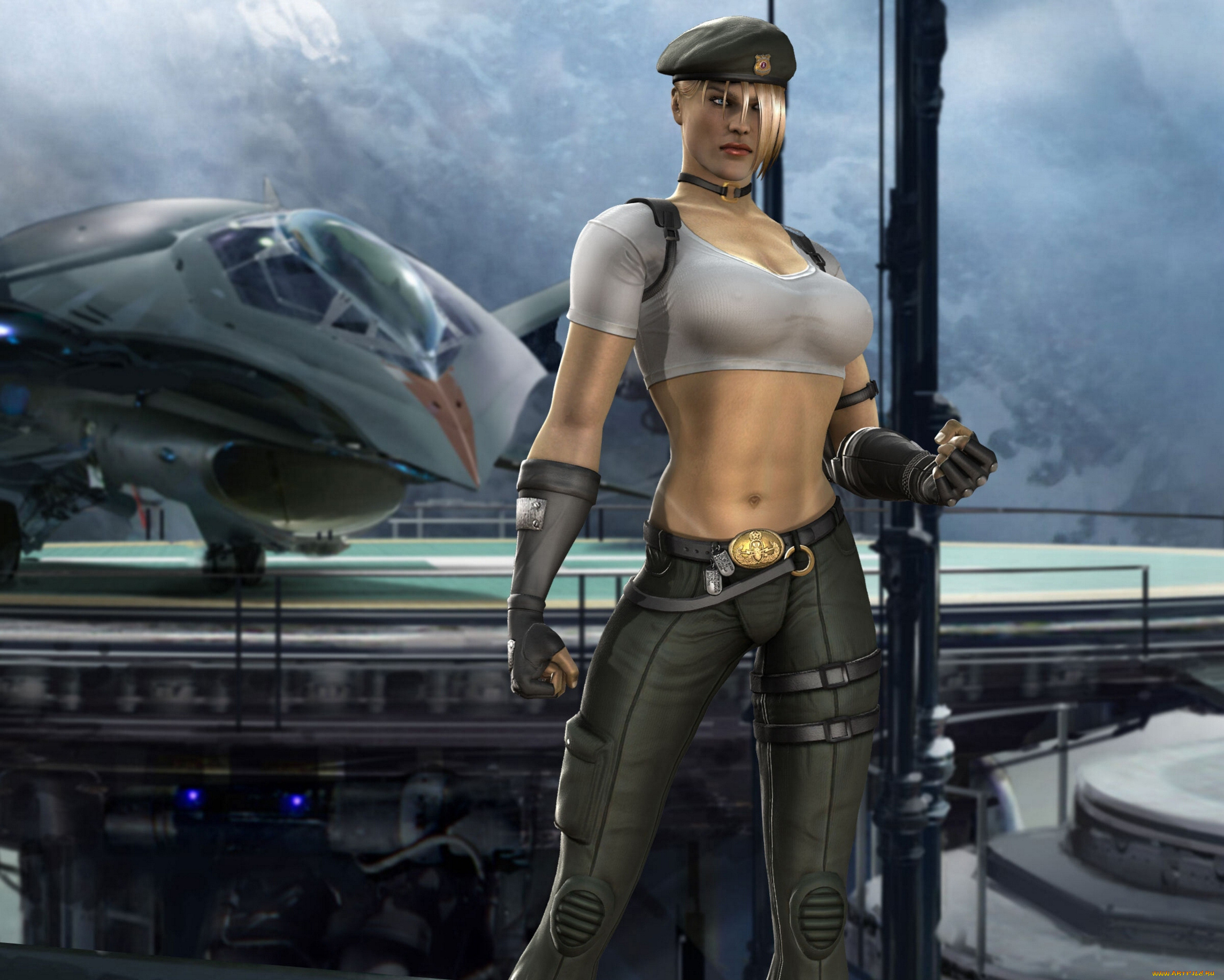 mortal, kombat, vs, dc, universe, видео, игры, sonya, blade