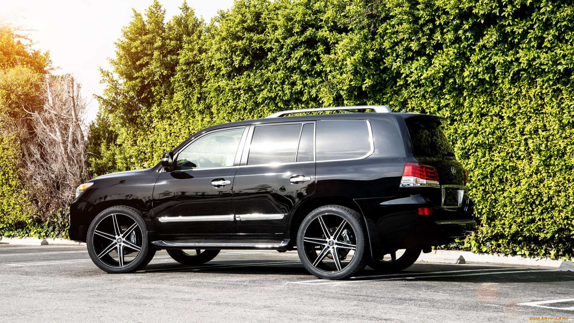 автомобили, lexus, dub