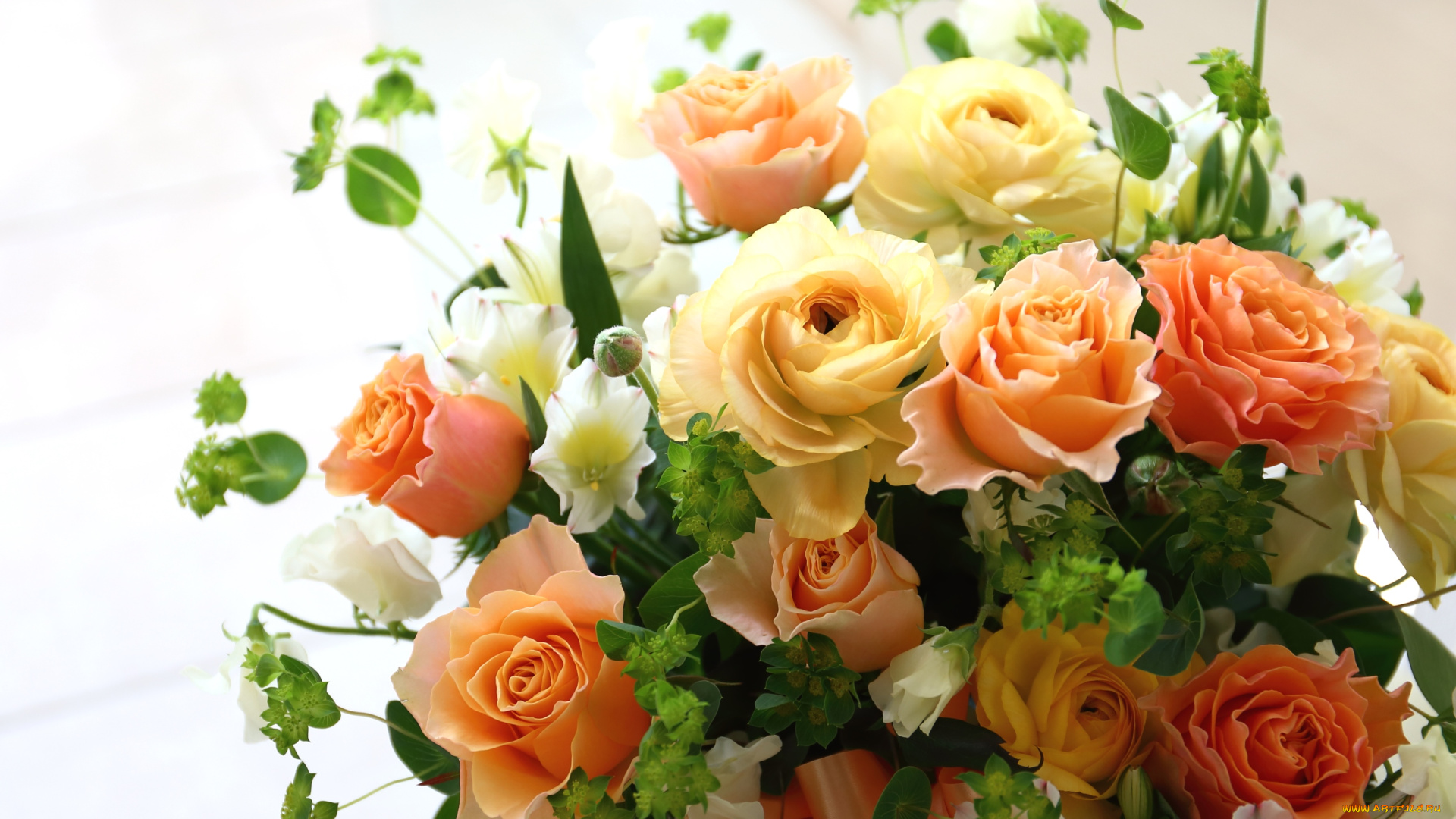 цветы, букеты, , композиции, букет