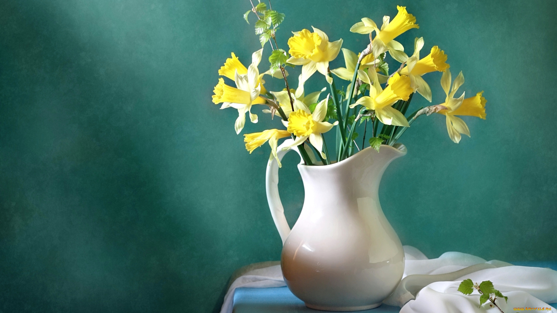 цветы, нарциссы, кувшин